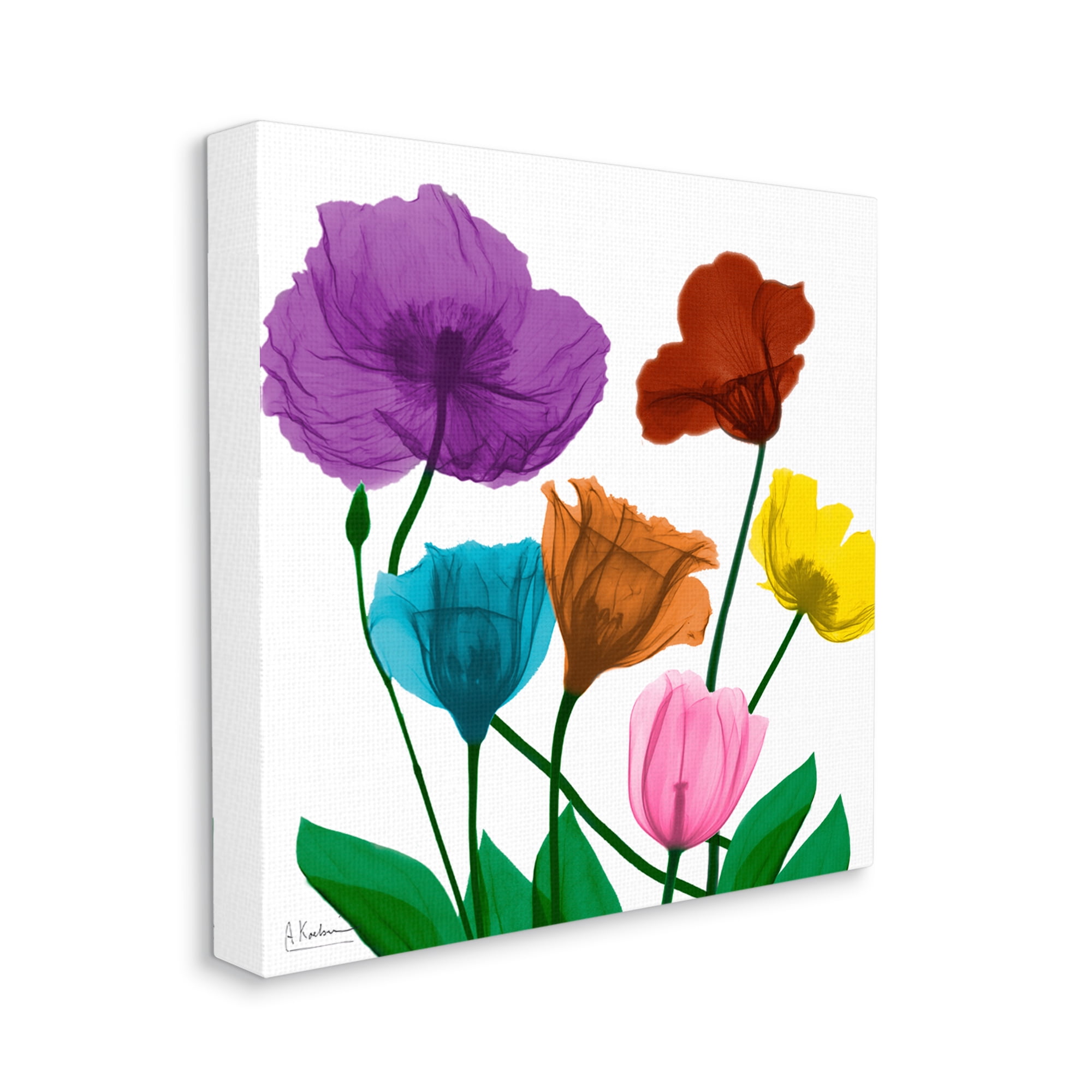 Stupell Industries Bold Summer Blooming Florals Translucent Rainbow Flowers Botanical & Floral Photography Gallery Wrapped Canvas Print Wall Art, 30 x 30