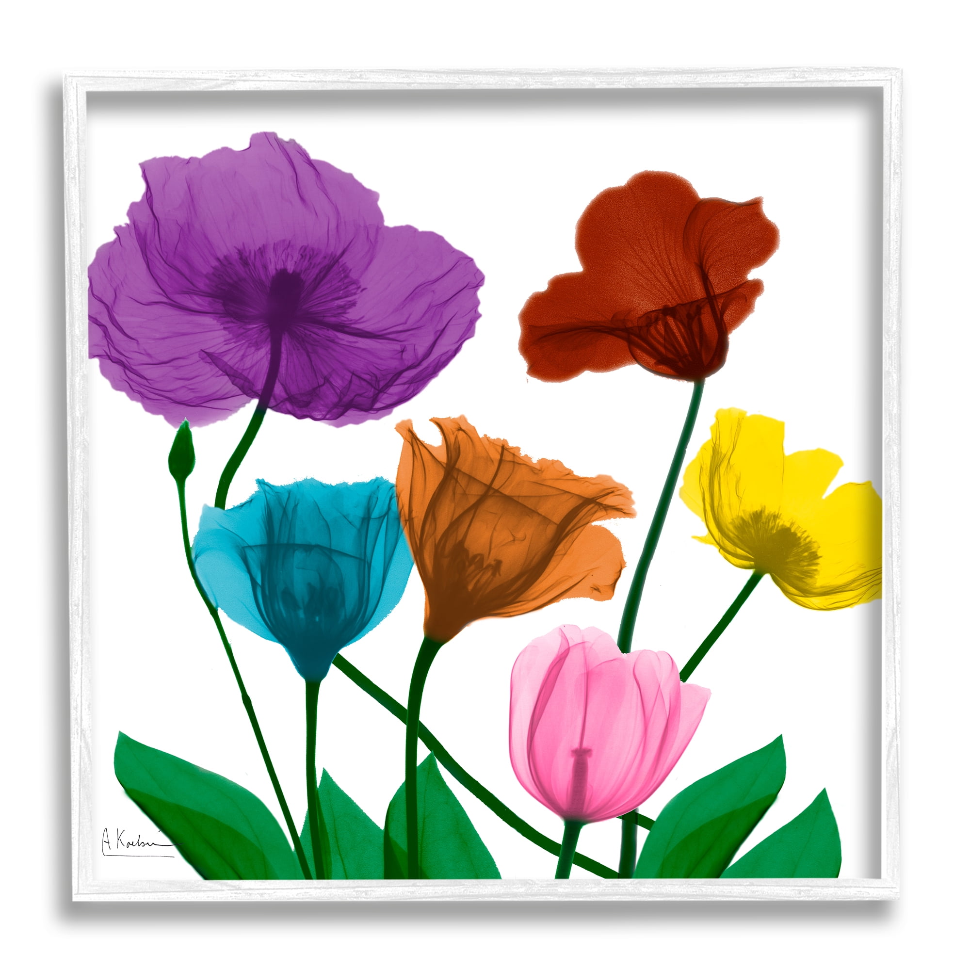 Stupell Industries Bold Summer Blooming Florals Translucent Rainbow Flowers Botanical & Floral Photography White Framed Art Print Wall Art, 12 x 12