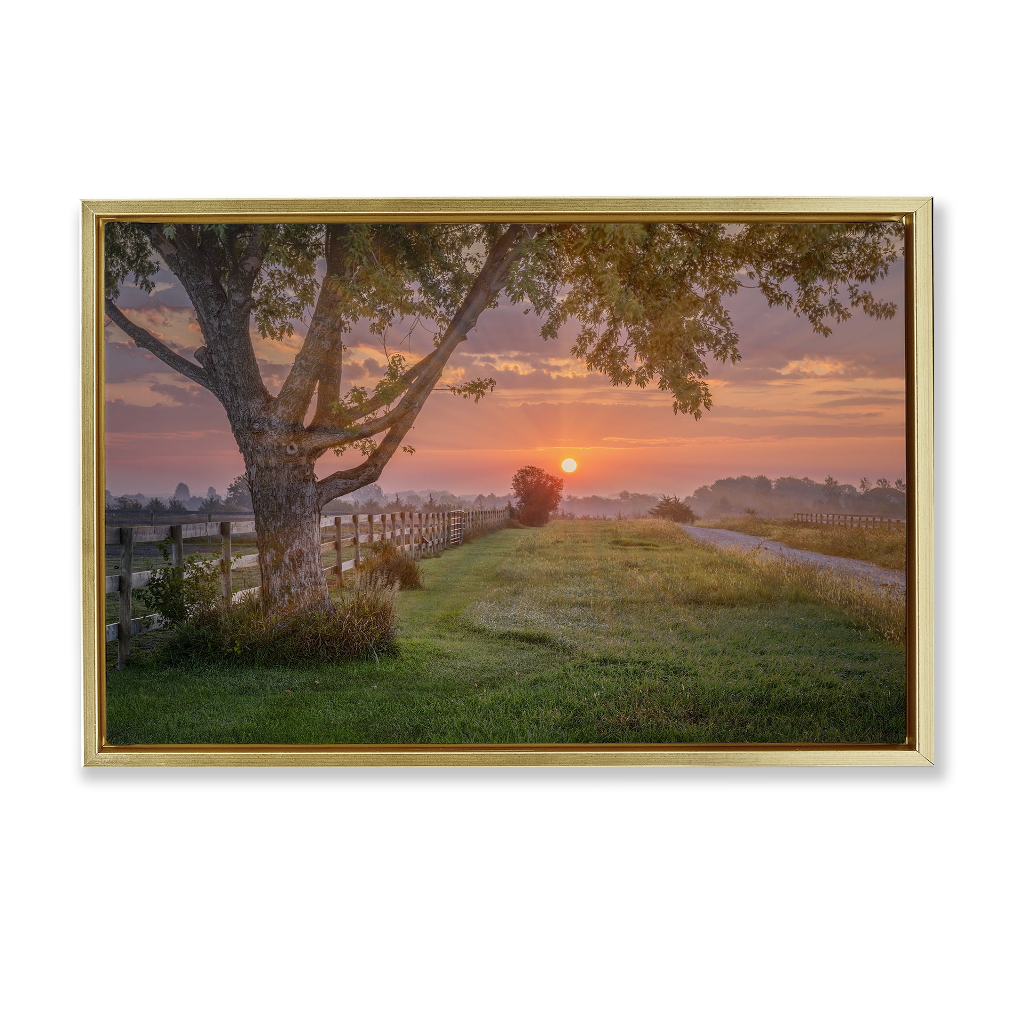Stupell Industries Bold Sunrise in Countryside Landscape & Nature Photography Gold Floater Framed Canvas Art Print Wall Art, 25 x 17
