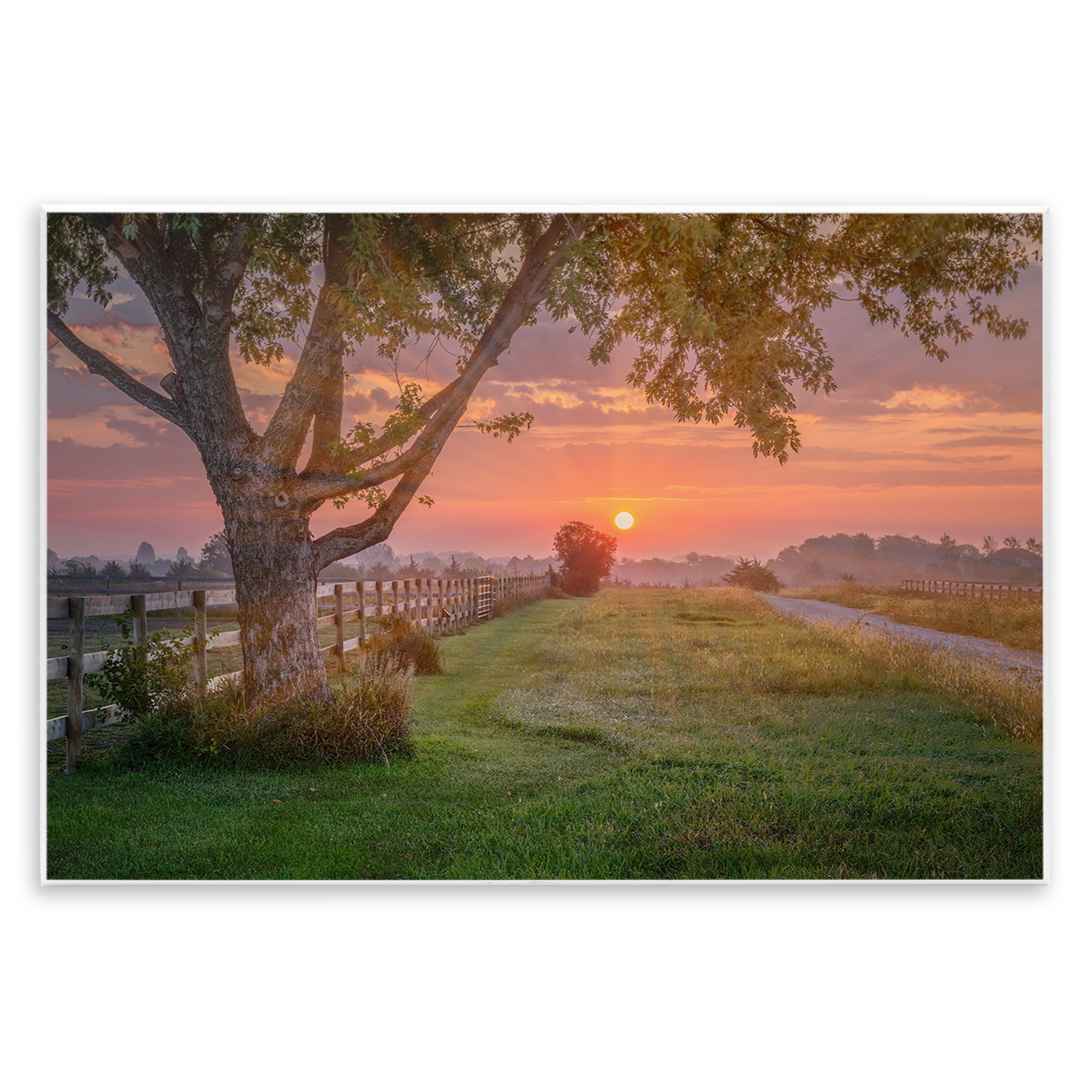 Stupell Industries Bold Sunrise in Countryside Landscape & Nature Photography Unframed Art Print Wall Art, 19 x 13