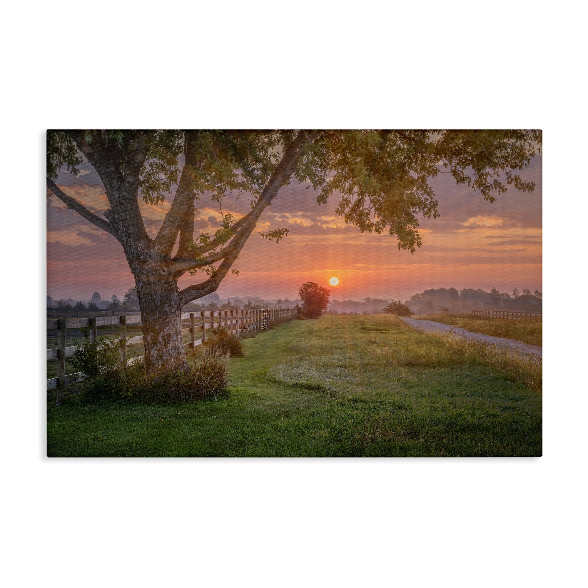 Stupell Industries Bold Sunrise in Countryside Landscape & Nature Photography Wrapped Canvas Art Print Wall Art, 45 x 30
