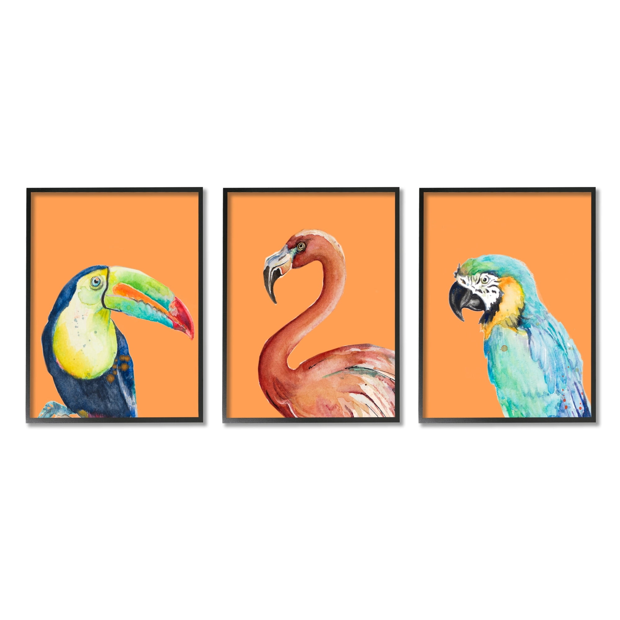 Stupell Industries Bold Tropical Birds Rainforest Animals Toucan Parrot Graphic Art Black Framed Art Print Wall Art, Set of 3, Design by Patricia Pinto