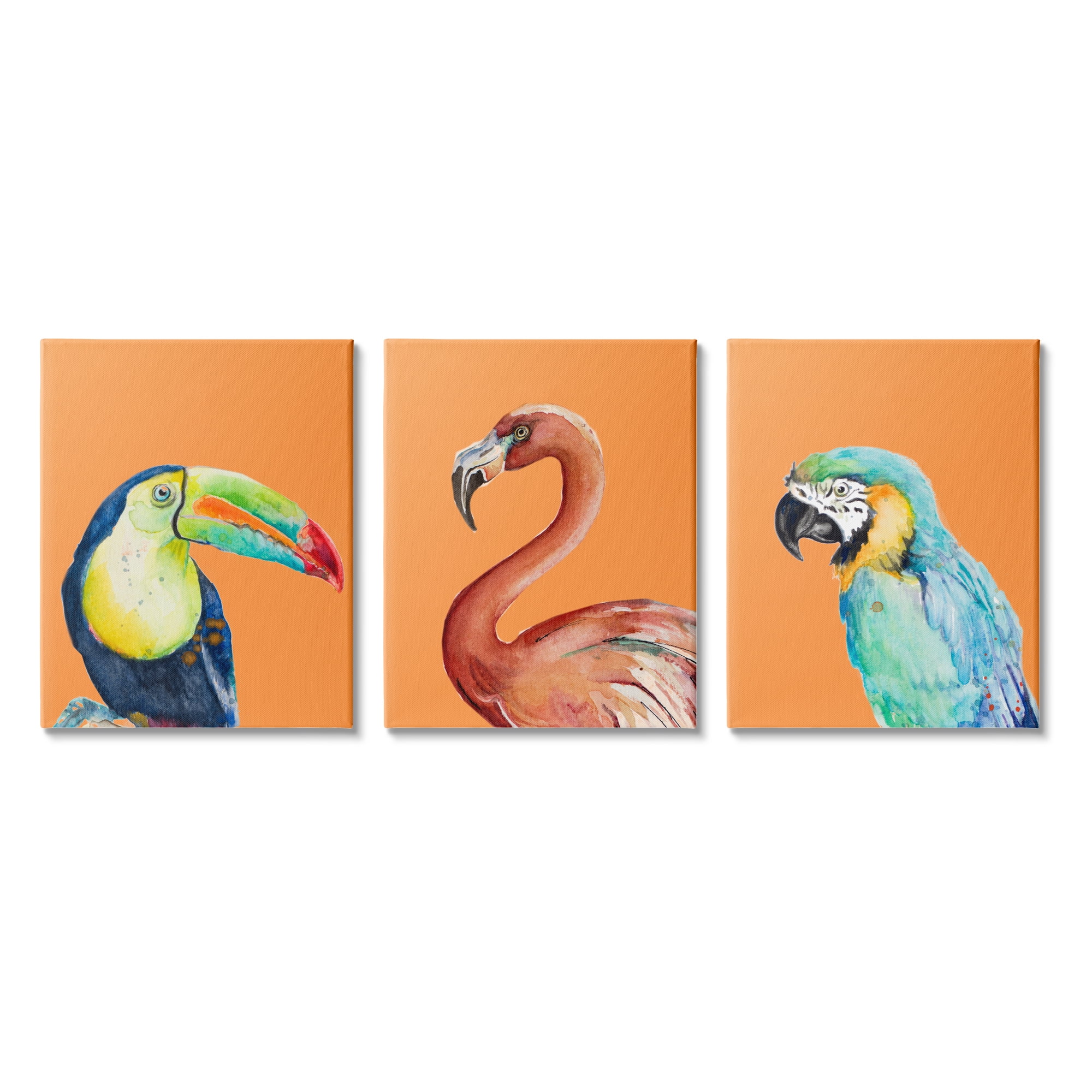 Stupell Industries Bold Tropical Birds Rainforest Animals Toucan Parrot Graphic Art Gallery Wrapped Canvas Print Wall Art, Set of 3, Design by Patricia Pinto