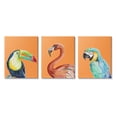 thumbnail image 1 of Stupell Industries Bold Tropical Birds Rainforest Animals Toucan Parrot Graphic Art Gallery Wrapped Canvas Print Wall Art, Set of 3, Design by Patricia Pinto, 1 of 5