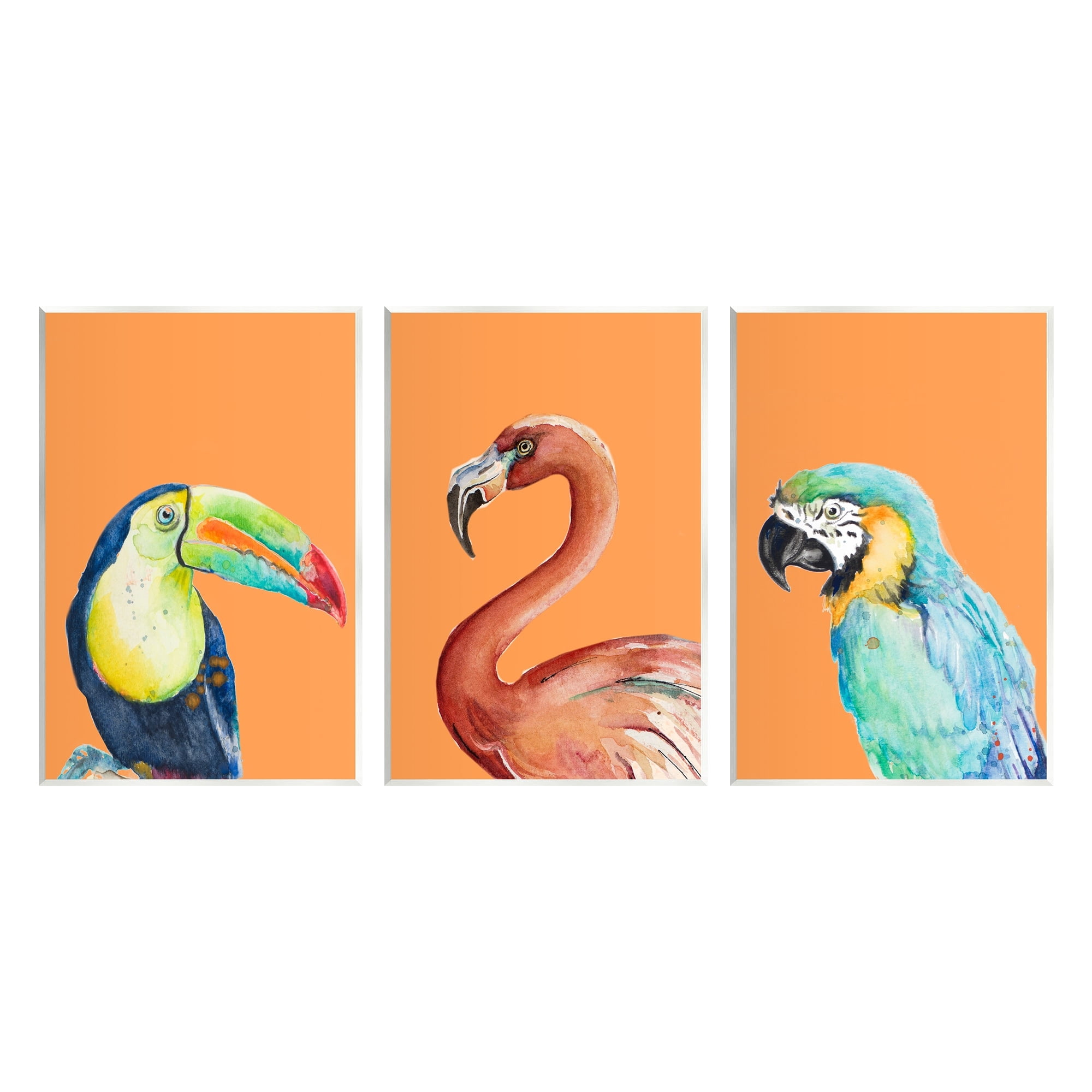 Stupell Industries Bold Tropical Birds Rainforest Animals Toucan Parrot Graphic Art Unframed Art Print Wall Art, Set of 3, Design by Patricia Pinto