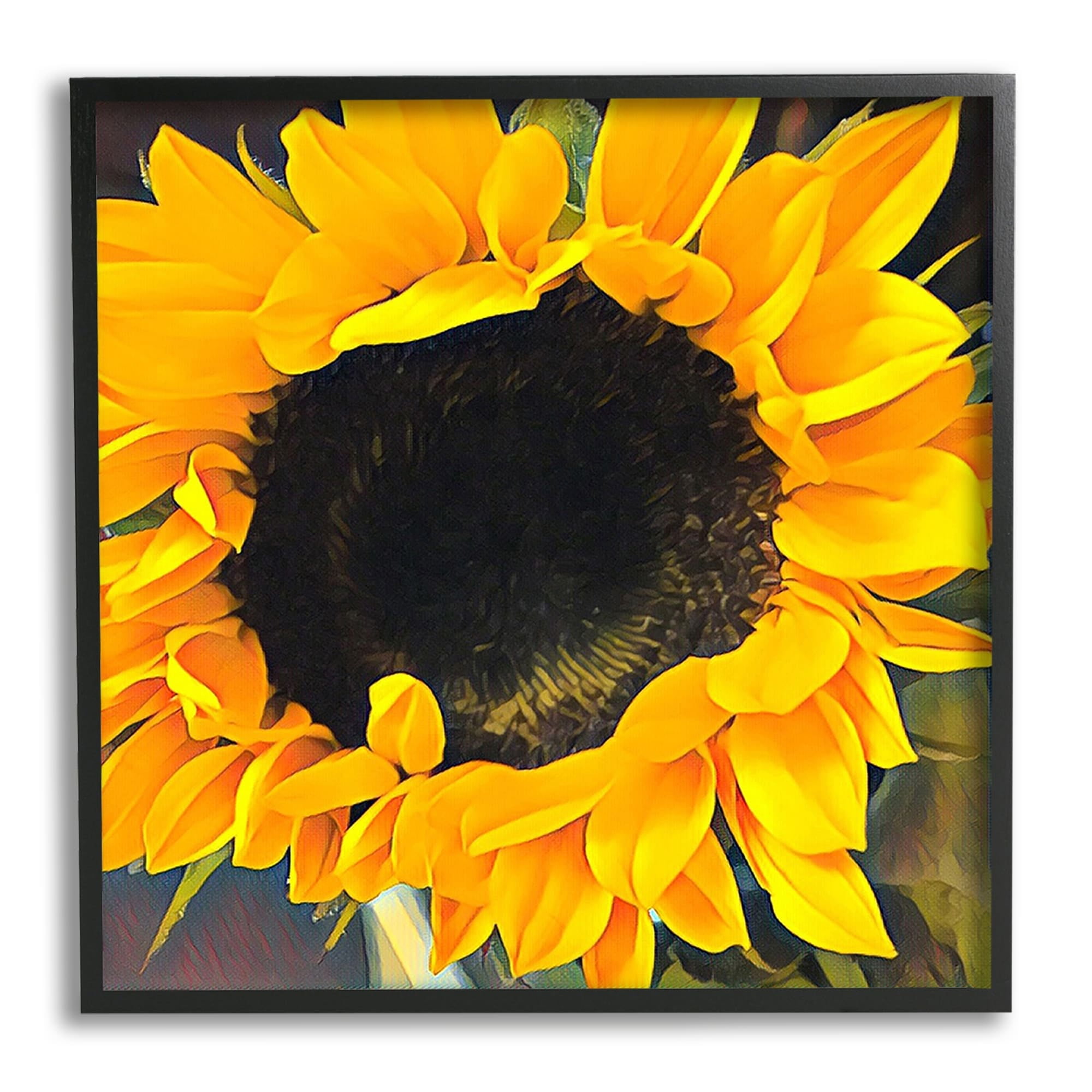 Stupell Industries Bold Yellow Summertime Sunflower Close Up Blossom Graphic Art Black Framed Art Print Wall Art, Design by unknown