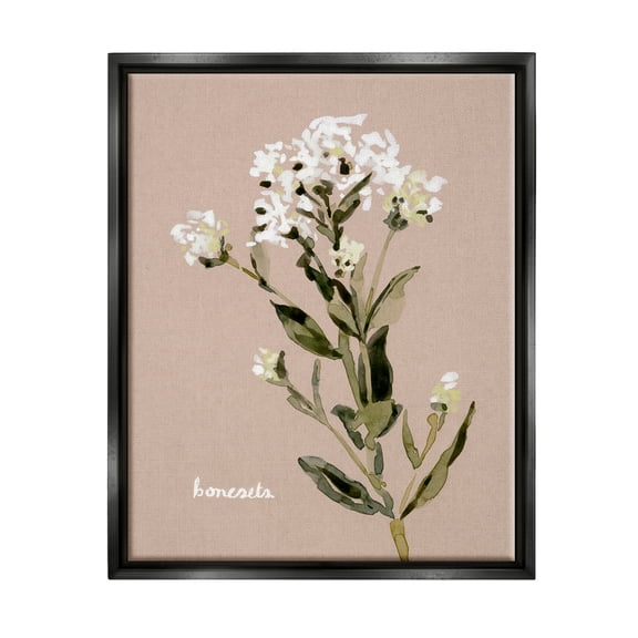 Stupell Industries Boneset Flower Sprig Nature Botanical & Floral Painting Black Floater Framed Art Print Wall Art