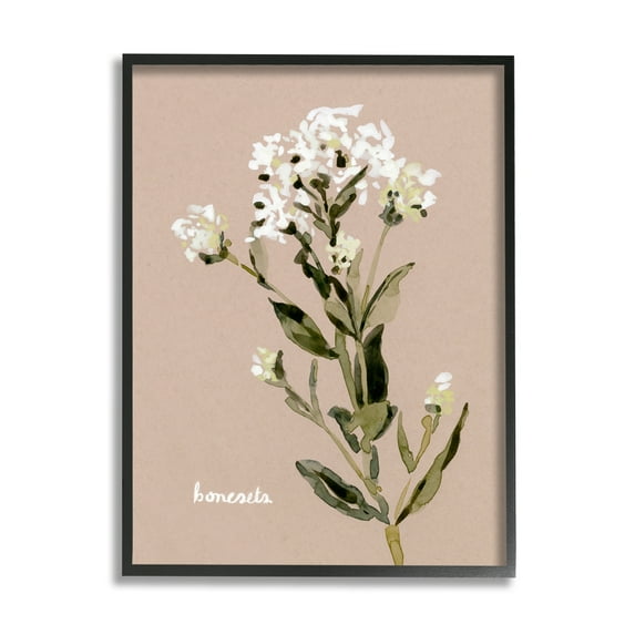 Stupell Industries Boneset Flower Sprig Nature Botanical & Floral Painting Black Framed Art Print Wall Art