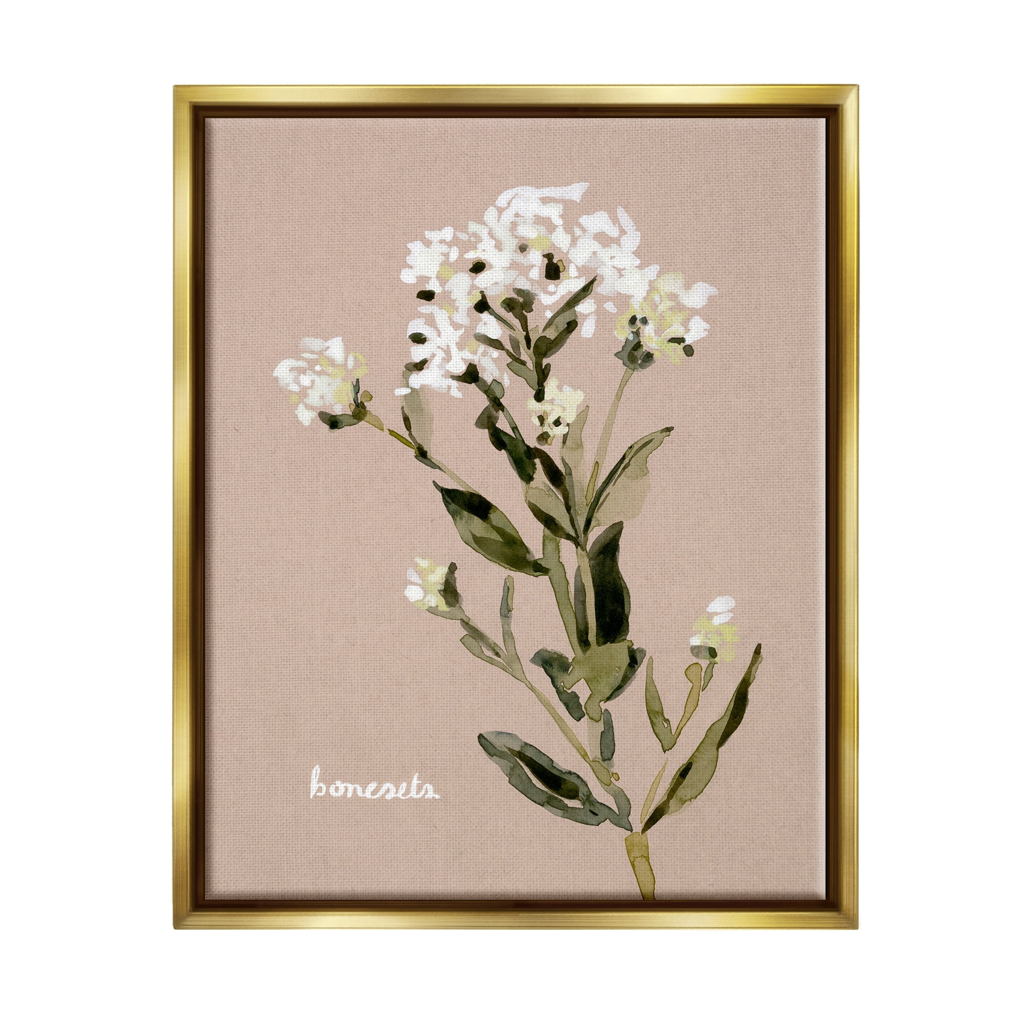 Stupell Industries Boneset Flower Sprig Nature Botanical & Floral Painting Gold Floater Framed Art Print Wall Art