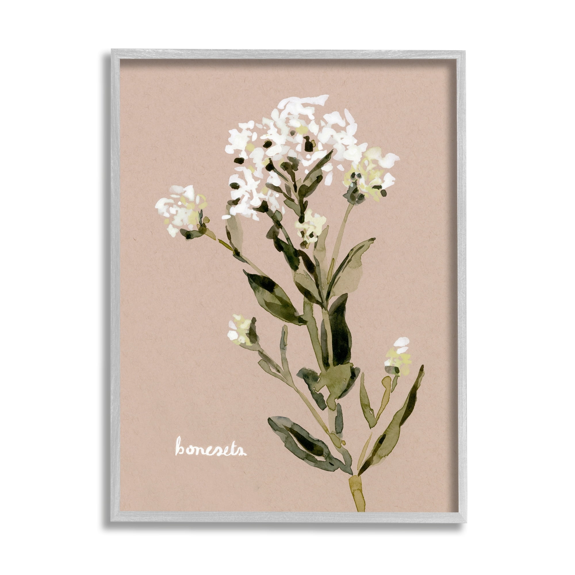 Stupell Industries Boneset Flower Sprig Nature Botanical & Floral Painting Gray Framed Art Print Wall Art
