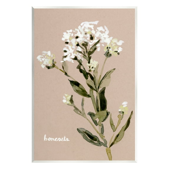 Stupell Industries Boneset Flower Sprig Nature Botanical & Floral Painting Unframed Art Print Wall Art