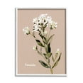 thumbnail image 1 of Stupell Industries Boneset Flower Sprig Nature Botanical & Floral Painting White Framed Art Print Wall Art, 1 of 5