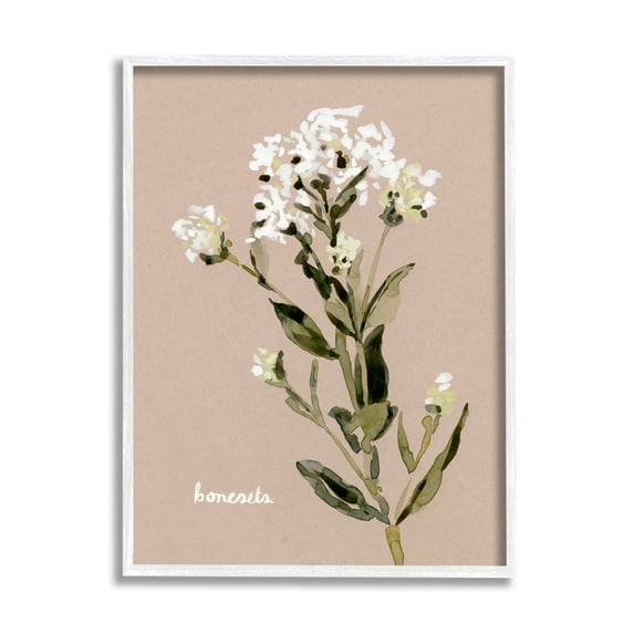 Stupell Industries Boneset Flower Sprig Nature Botanical & Floral Painting White Framed Art Print Wall Art