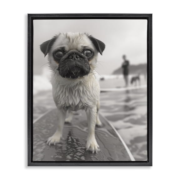 Stupell Industries Boogie Pug Surfing Animals Photography Black Floater Framed Canvas Art Print Wall Art, 17 x 21