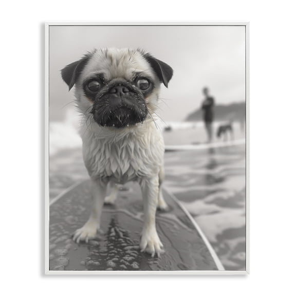 Stupell Industries Boogie Pug Surfing Animals Photography White Framed Art Print Wall Art, 24 x 30