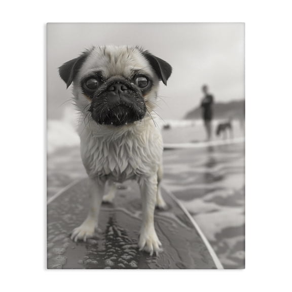 Stupell Industries Boogie Pug Surfing Animals Photography Wrapped Canvas Canvas Art Print Wall Art, 36 x 48