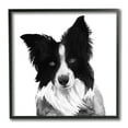 thumbnail image 1 of Stupell Industries Border Collie Pet Dog Portrait Black White Animals & Insects Painting Black Framed Art Print Wall Art, 12 x 12, 1 of 5
