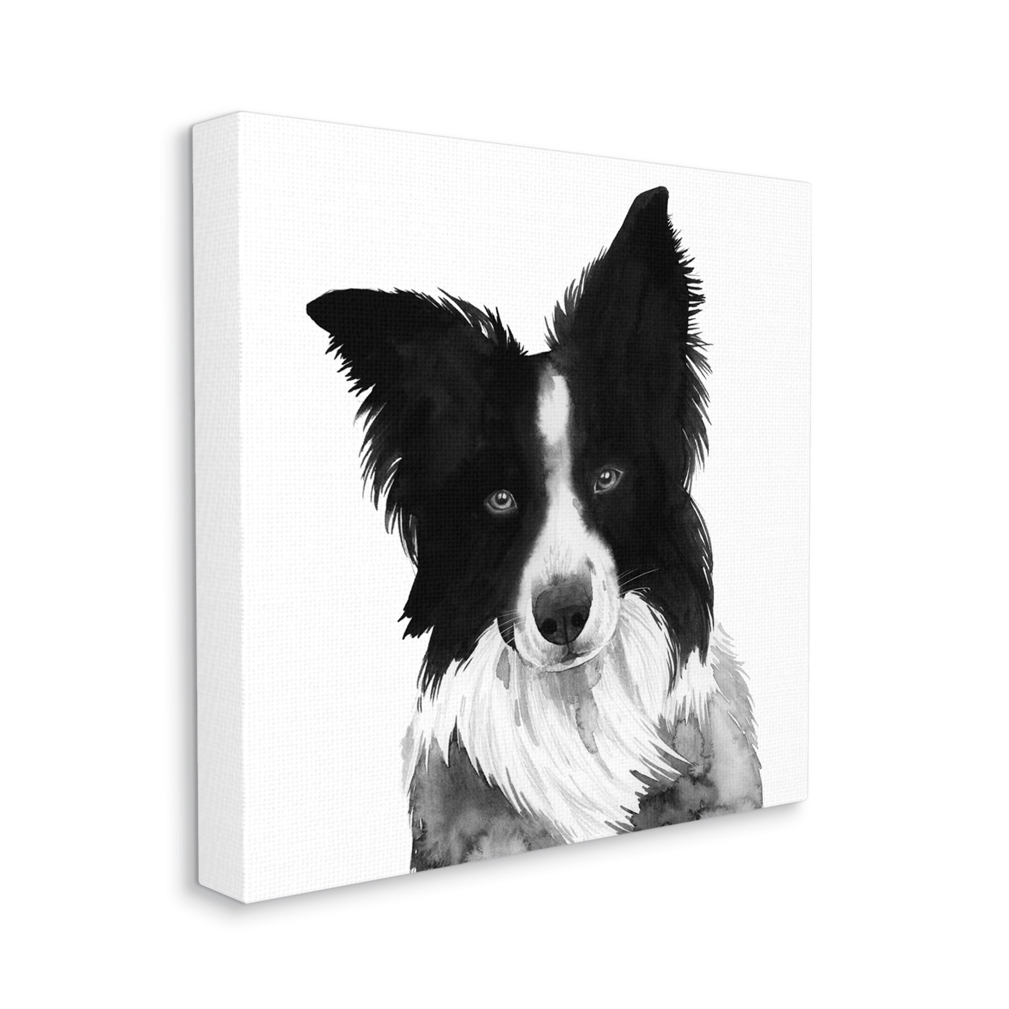 Stupell Industries Border Collie Pet Dog Portrait Black White Animals & Insects Painting Gallery Wrapped Canvas Art Print Wall Art, 36 x 36