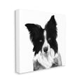 thumbnail image 1 of Stupell Industries Border Collie Pet Dog Portrait Black White Animals & Insects Painting Gallery Wrapped Canvas Art Print Wall Art, 36 x 36, 1 of 6