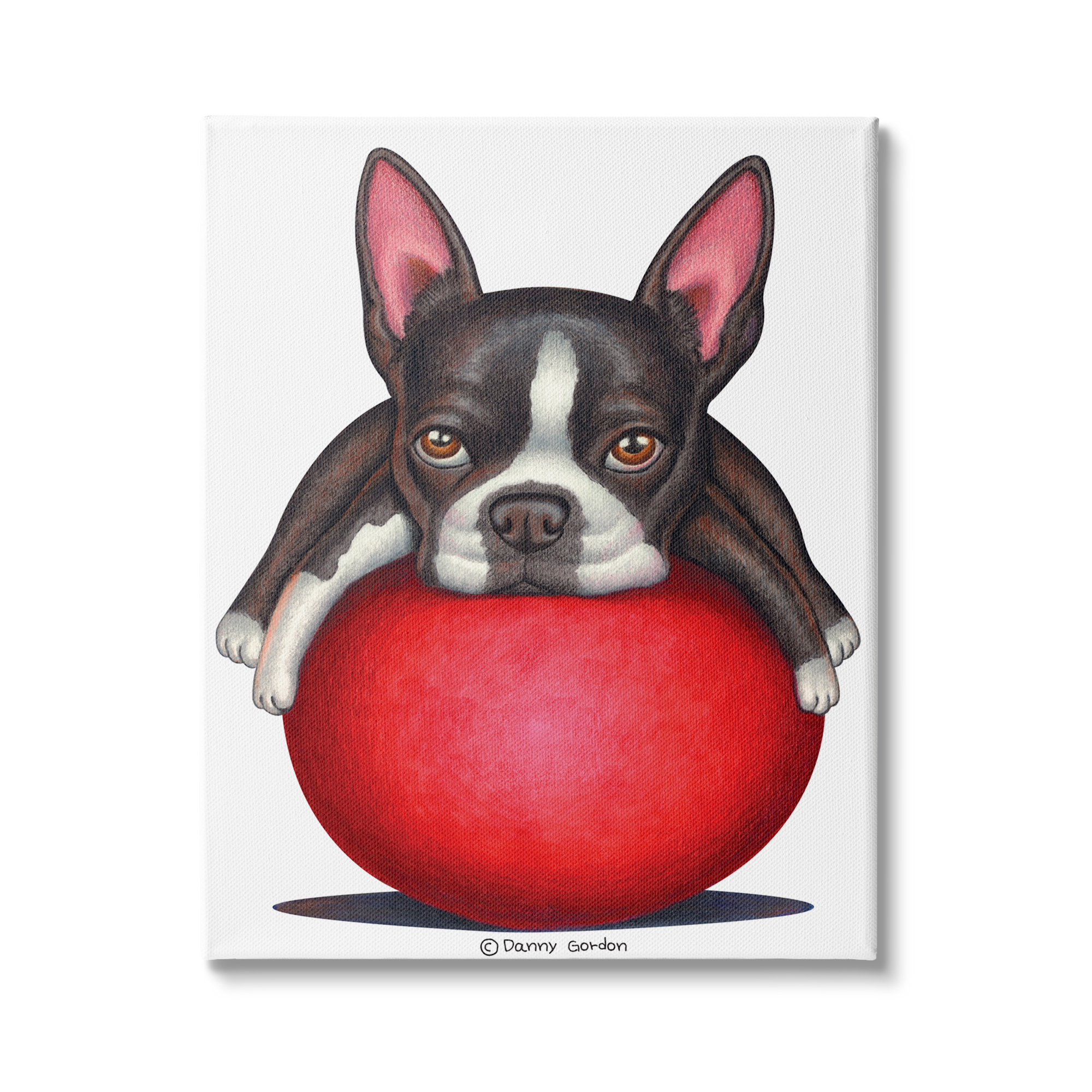 Stupell Industries Boston Terrier Big Red Ball Pet Dog Illustration, 16 x 20, Design by Danny Gordan