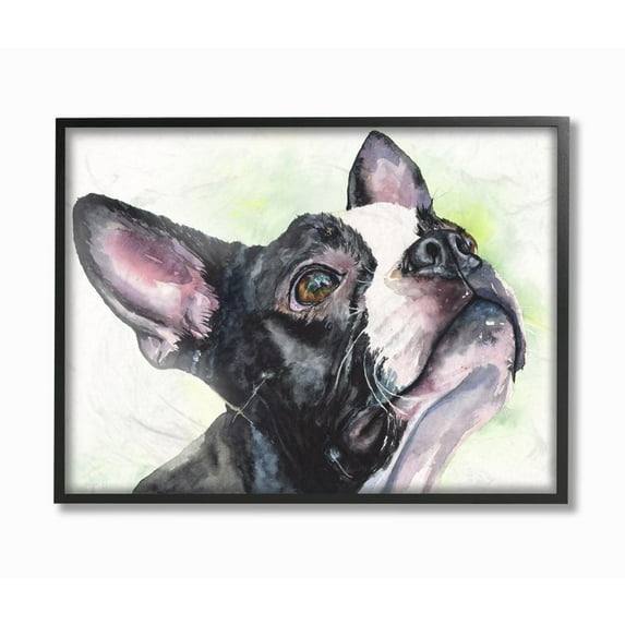 Stupell Industries Boston Terrier Dog Pet Animal Watercolor Painting Framed Giclee Texturized Art by George Dyachenko