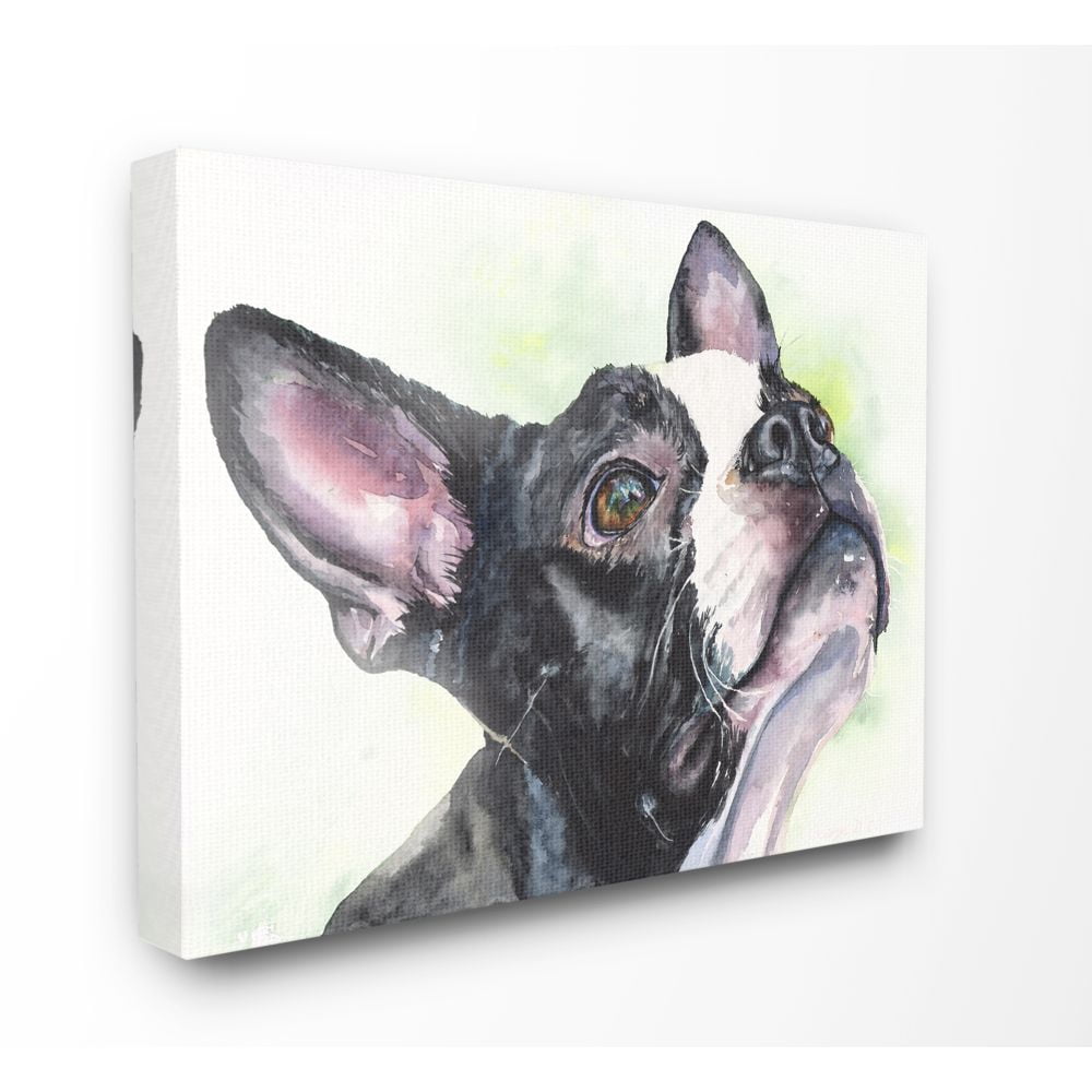 Stupell Industries Boston Terrier Dog Pet Animal Watercolor Painting Super Canvas Wall Art by George Dyachenko