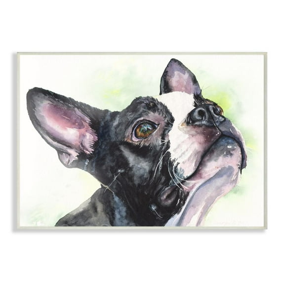 Stupell Industries Boston Terrier Dog Pet Animal Watercolor Painting Wall Plaque Art by George Dyachenko