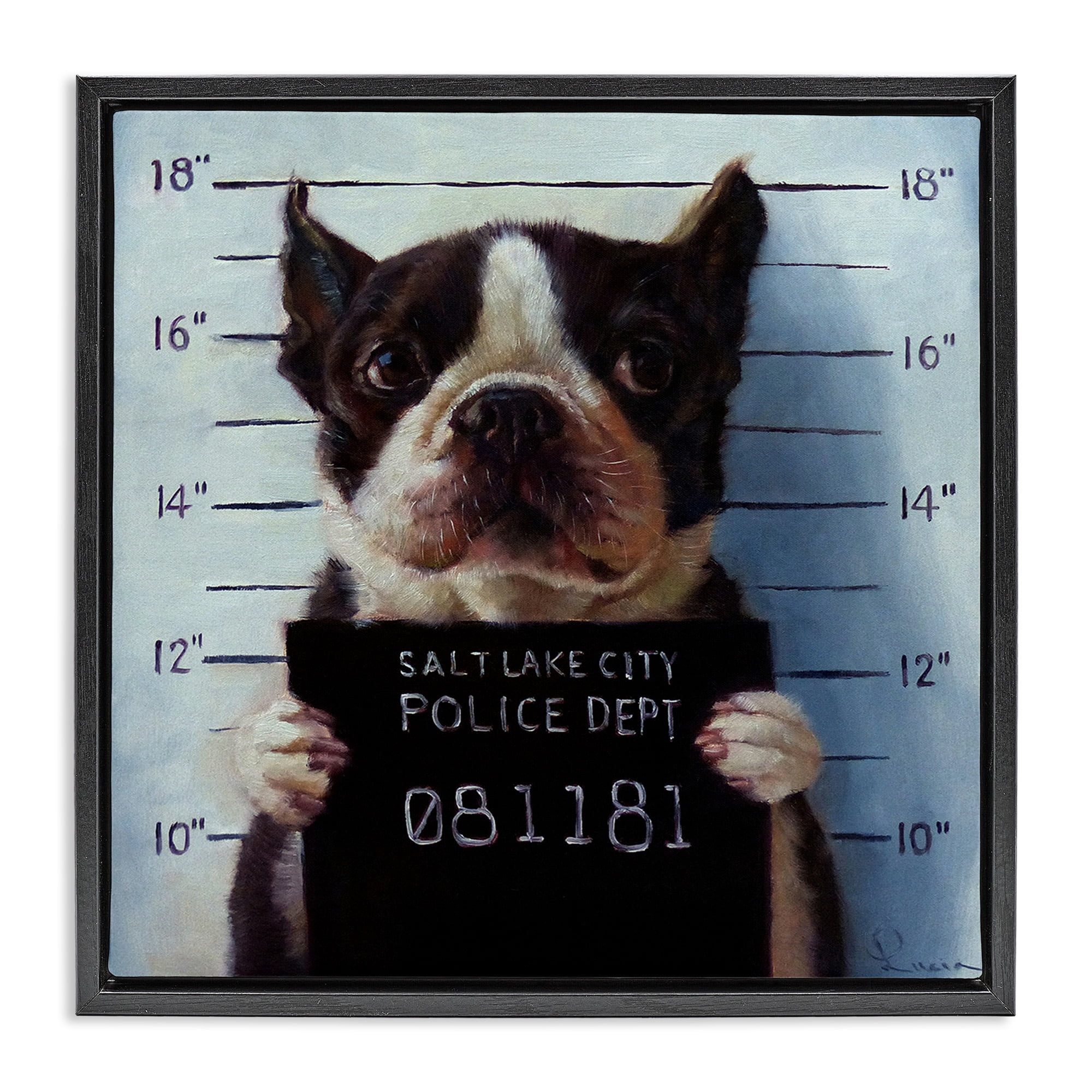 Stupell Industries Boston Terrier Jail Convicted Mugshot Animals & Insects Painting Black Floater Framed Canvas Art Print Wall Art, 25 x 25