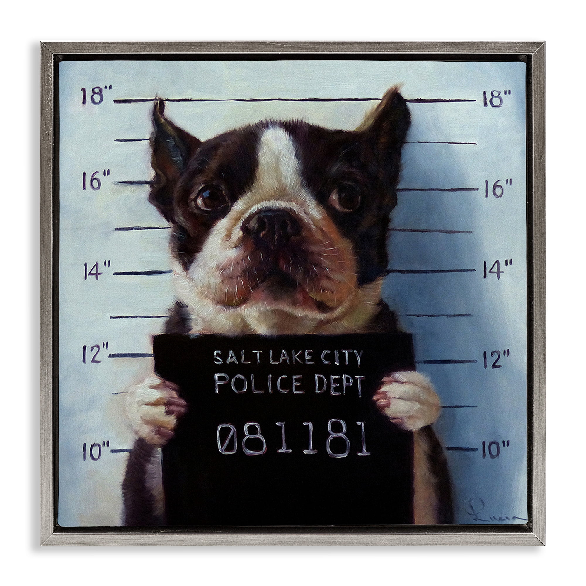 Stupell Industries Boston Terrier Jail Convicted Mugshot Animals & Insects Painting Gray Floater Framed Canvas Art Print Wall Art, 18 x 18