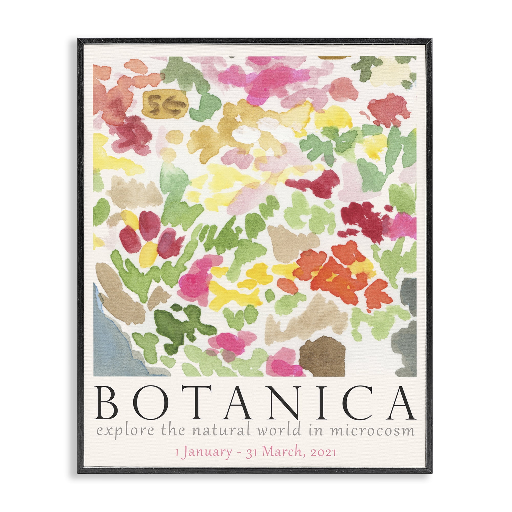 Stupell Industries Botanica Abstract Florals Plants & Flowers Painting Black Framed Art Print Wall Art, 24 x 30