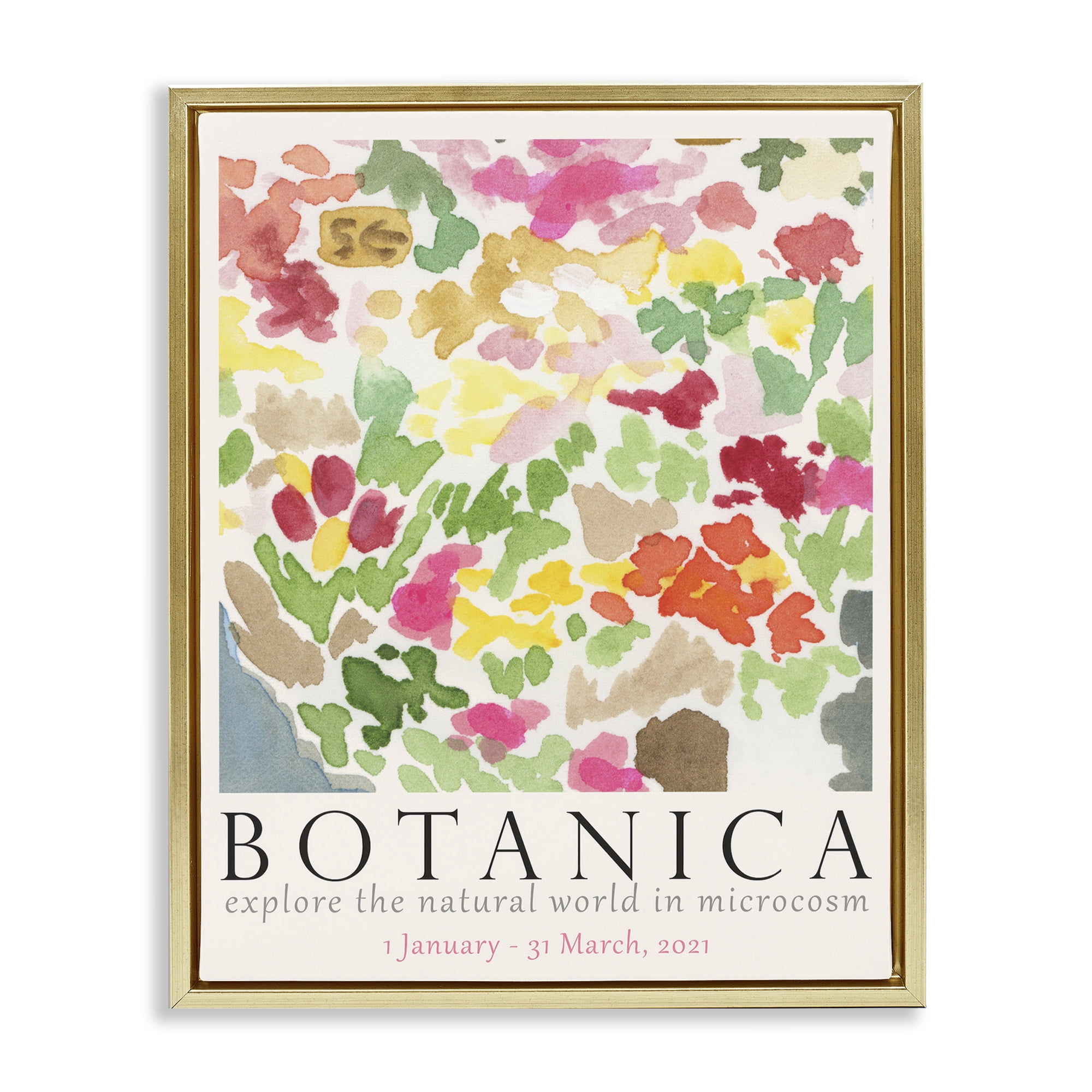 Stupell Industries Botanica Abstract Florals Plants & Flowers Painting Gold Floater Framed Canvas Art Print Wall Art, 25 x 31