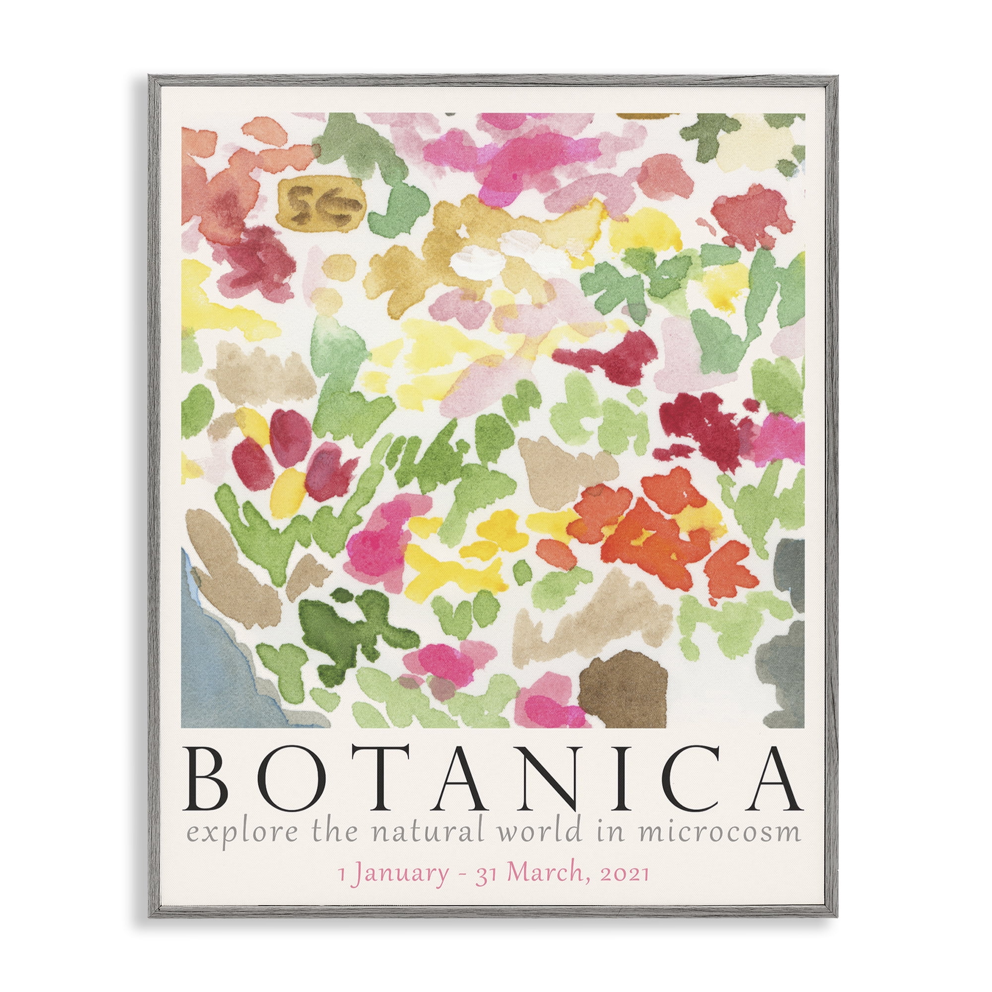 Stupell Industries Botanica Abstract Florals Plants & Flowers Painting Gray Framed Art Print Wall Art, 16 x 20