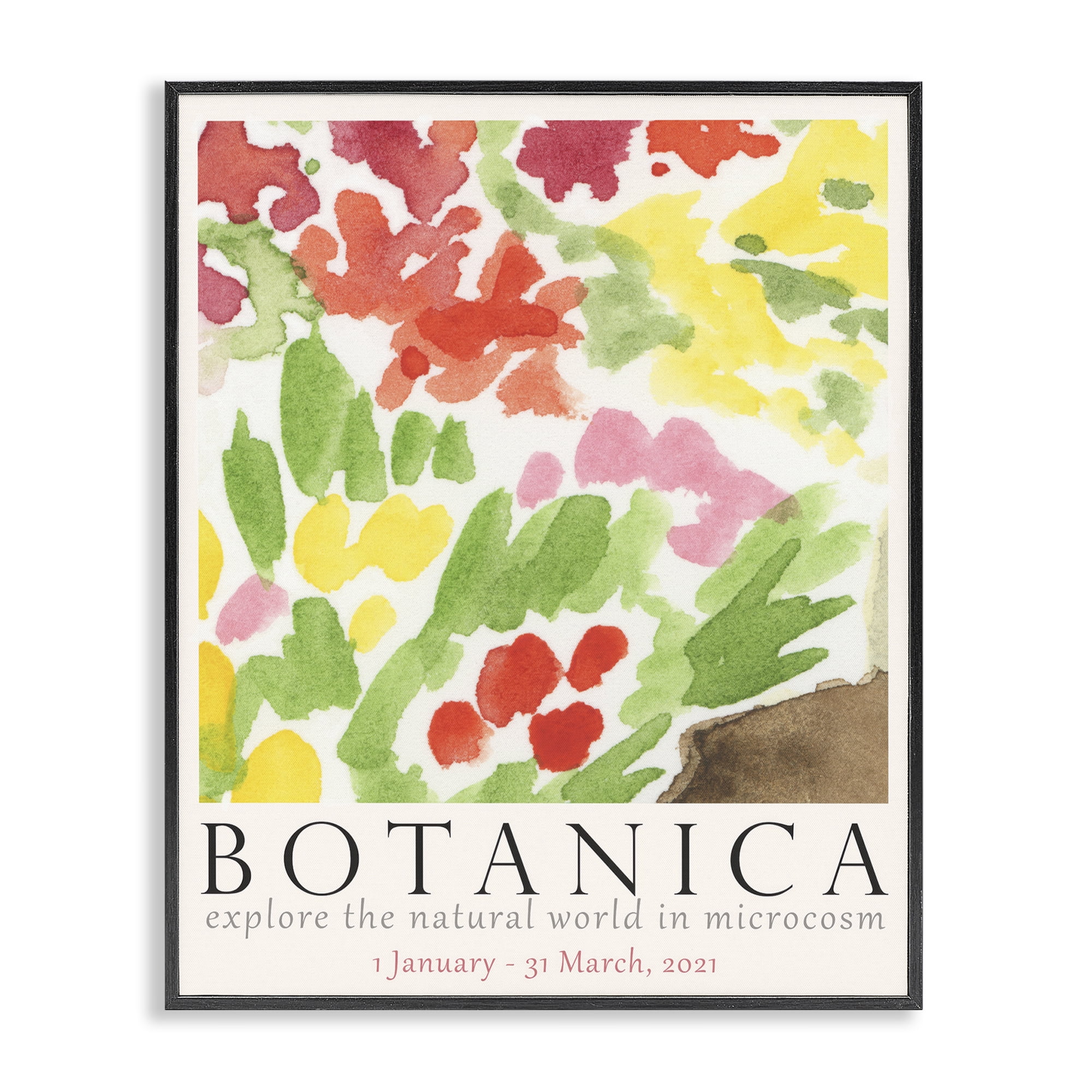 Stupell Industries Botanica Floral Museum Plants & Flowers Painting Black Framed Art Print Wall Art, 16 x 20