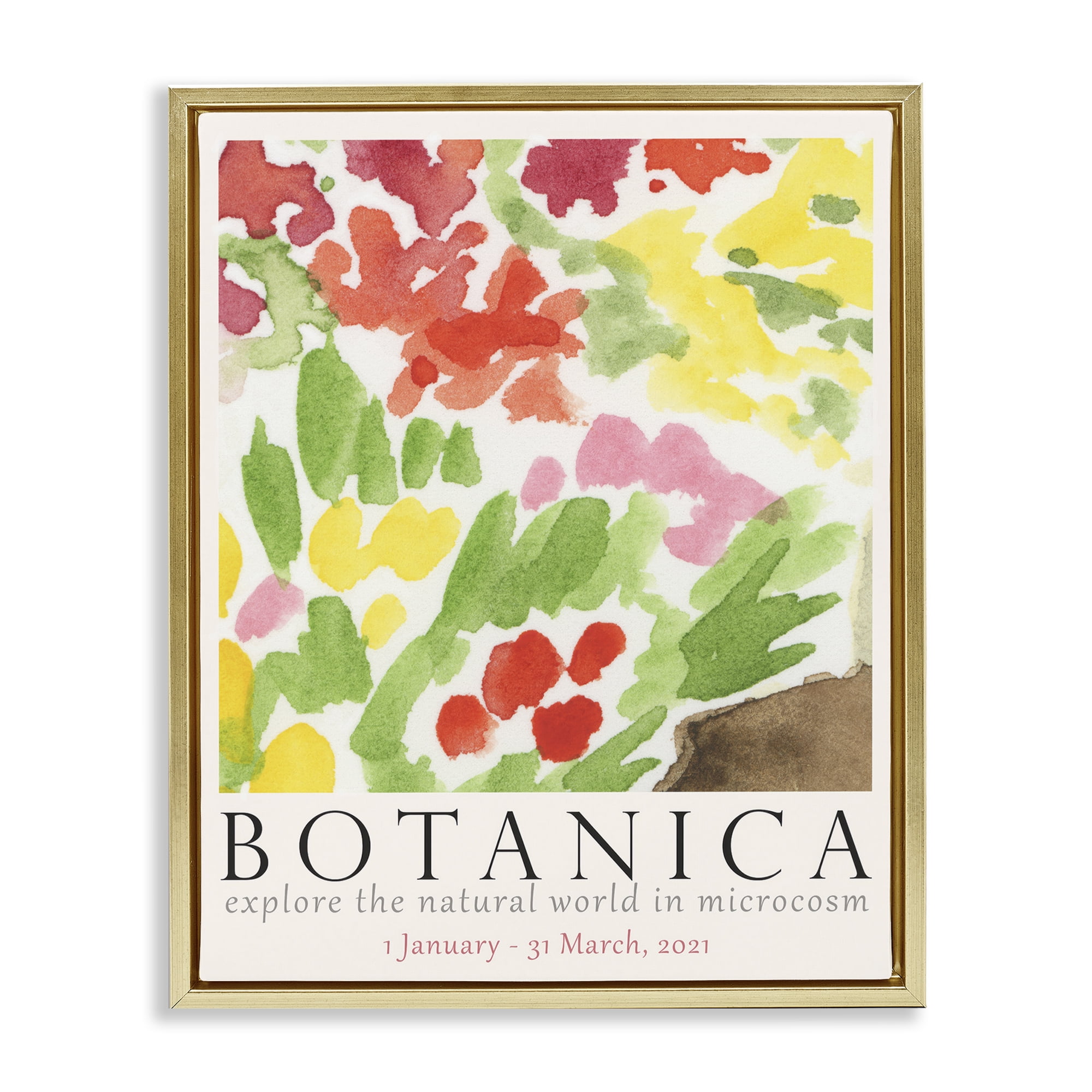 Stupell Industries Botanica Floral Museum Plants & Flowers Painting Gold Floater Framed Canvas Art Print Wall Art, 25 x 31