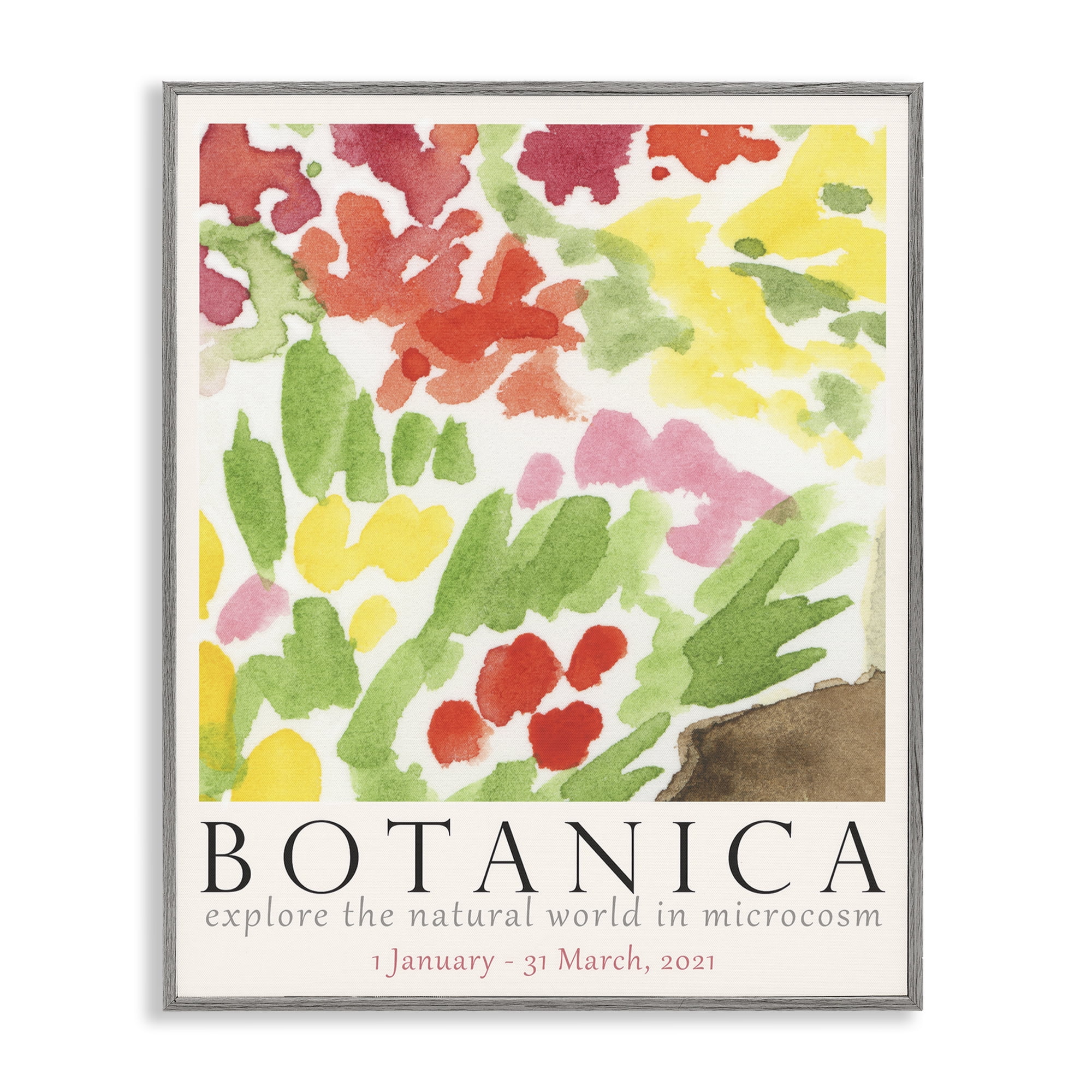 Stupell Industries Botanica Floral Museum Plants & Flowers Painting Gray Framed Art Print Wall Art, 16 x 20