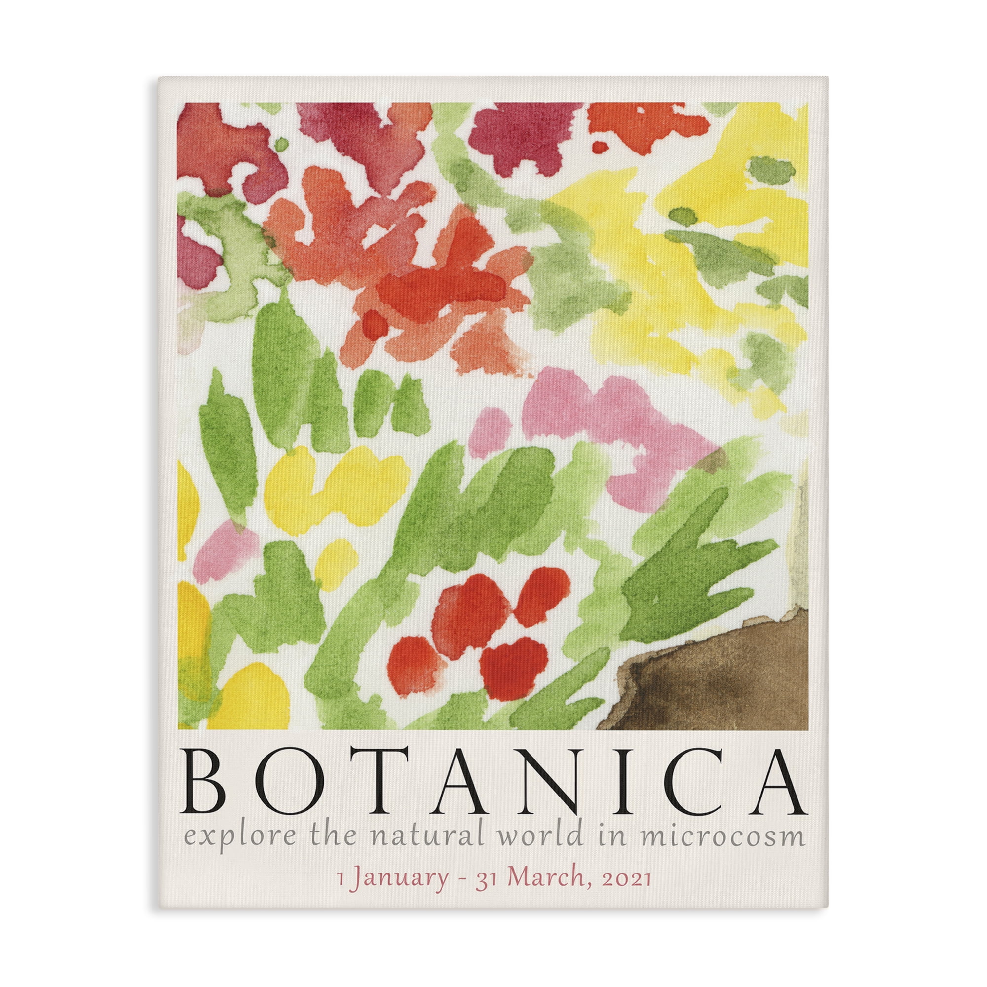 Stupell Industries Botanica Floral Museum Plants & Flowers Painting Wrapped Canvas Art Print Wall Art, 16 x 20