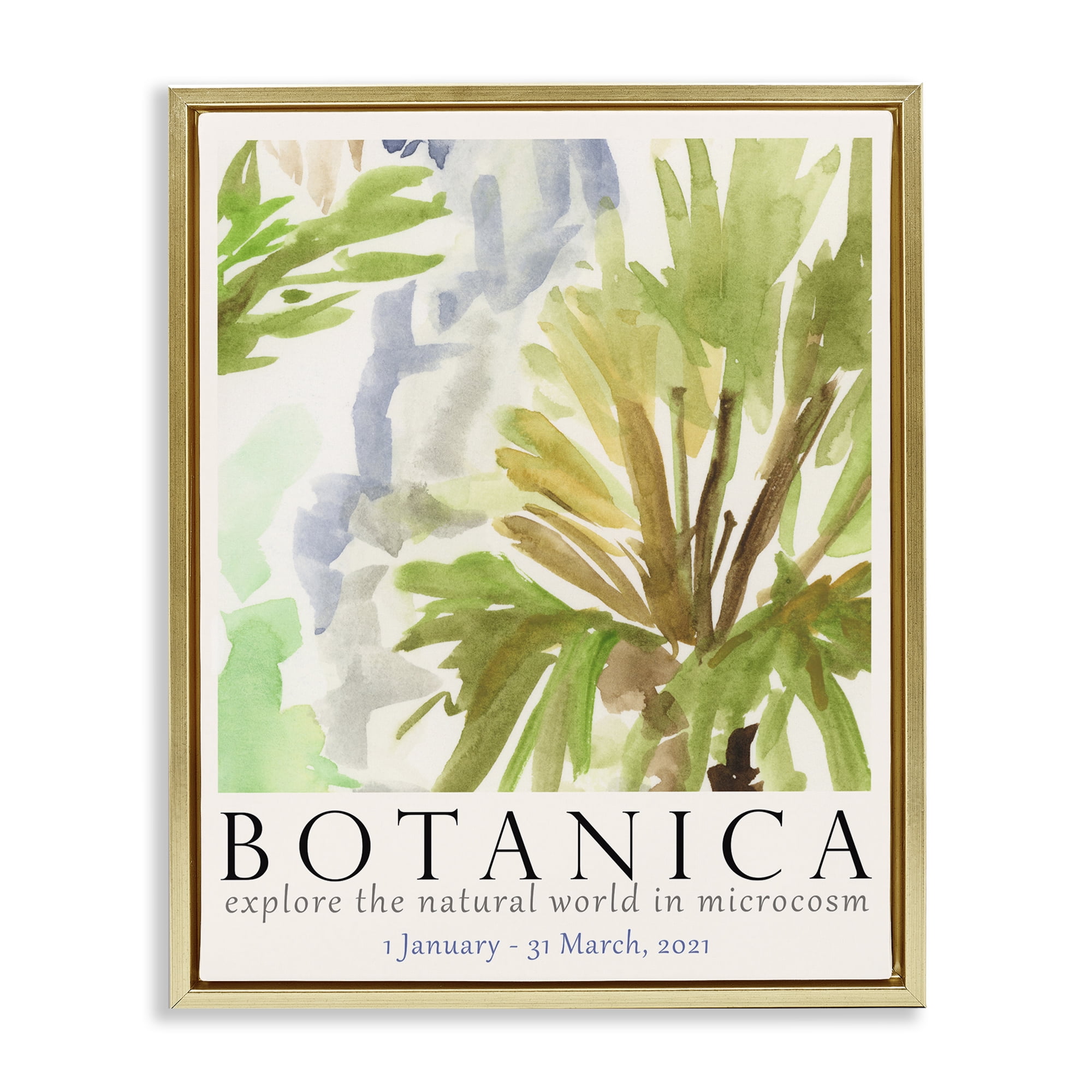 Stupell Industries Botanica Museum Poster Plants & Flowers Painting Gold Floater Framed Canvas Art Print Wall Art, 17 x 21