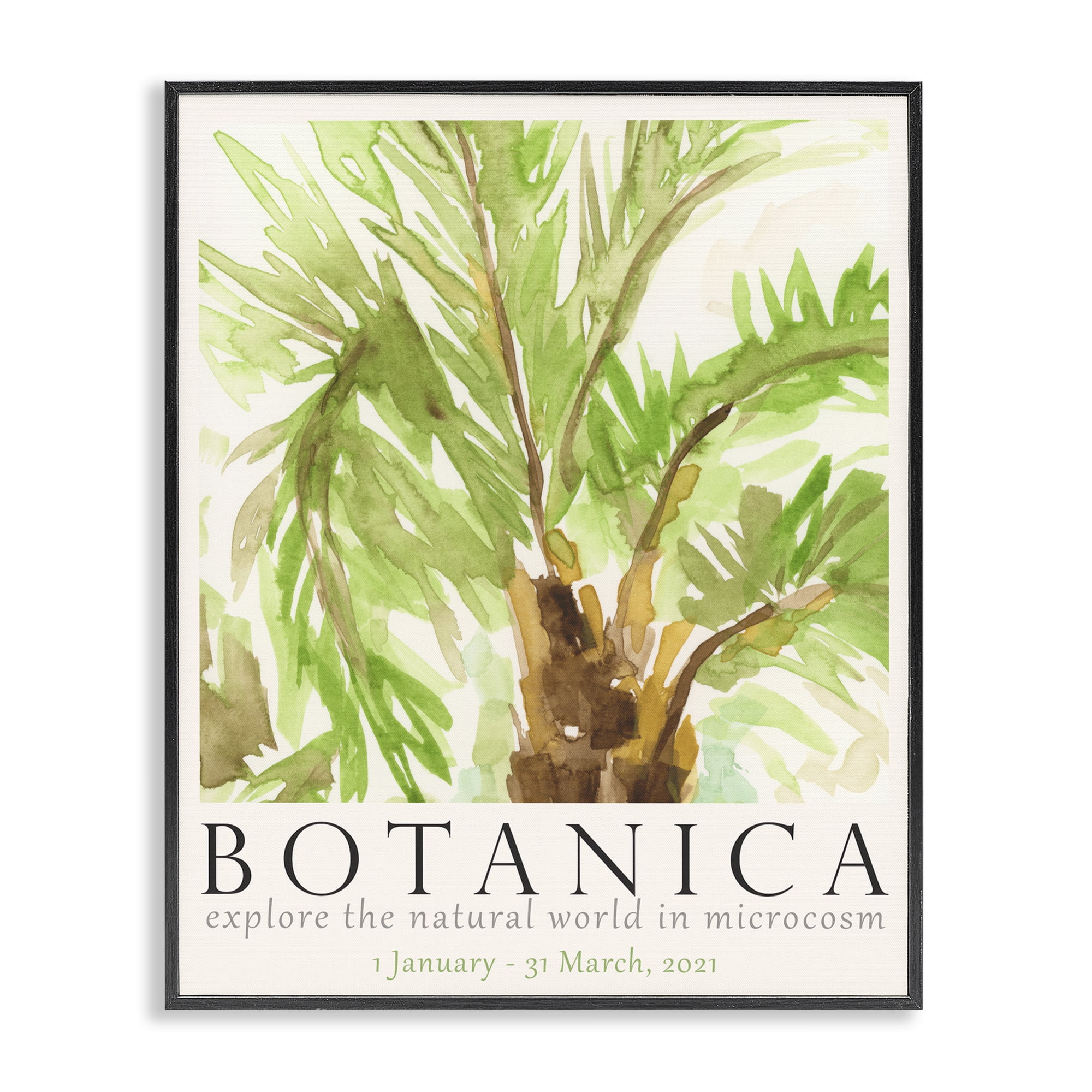 Stupell Industries Botanica Poster Palm Tree Plants & Flowers Painting Black Framed Art Print Wall Art, 16 x 20