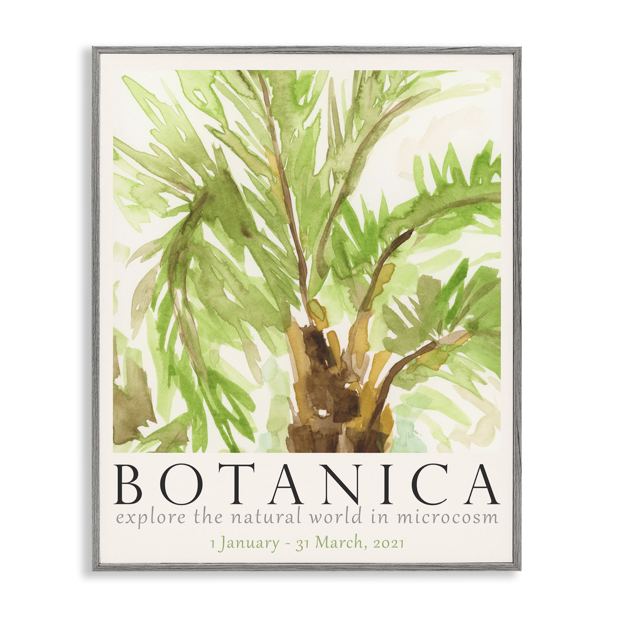 Stupell Industries Botanica Poster Palm Tree Plants & Flowers Painting Gray Framed Art Print Wall Art, 24 x 30