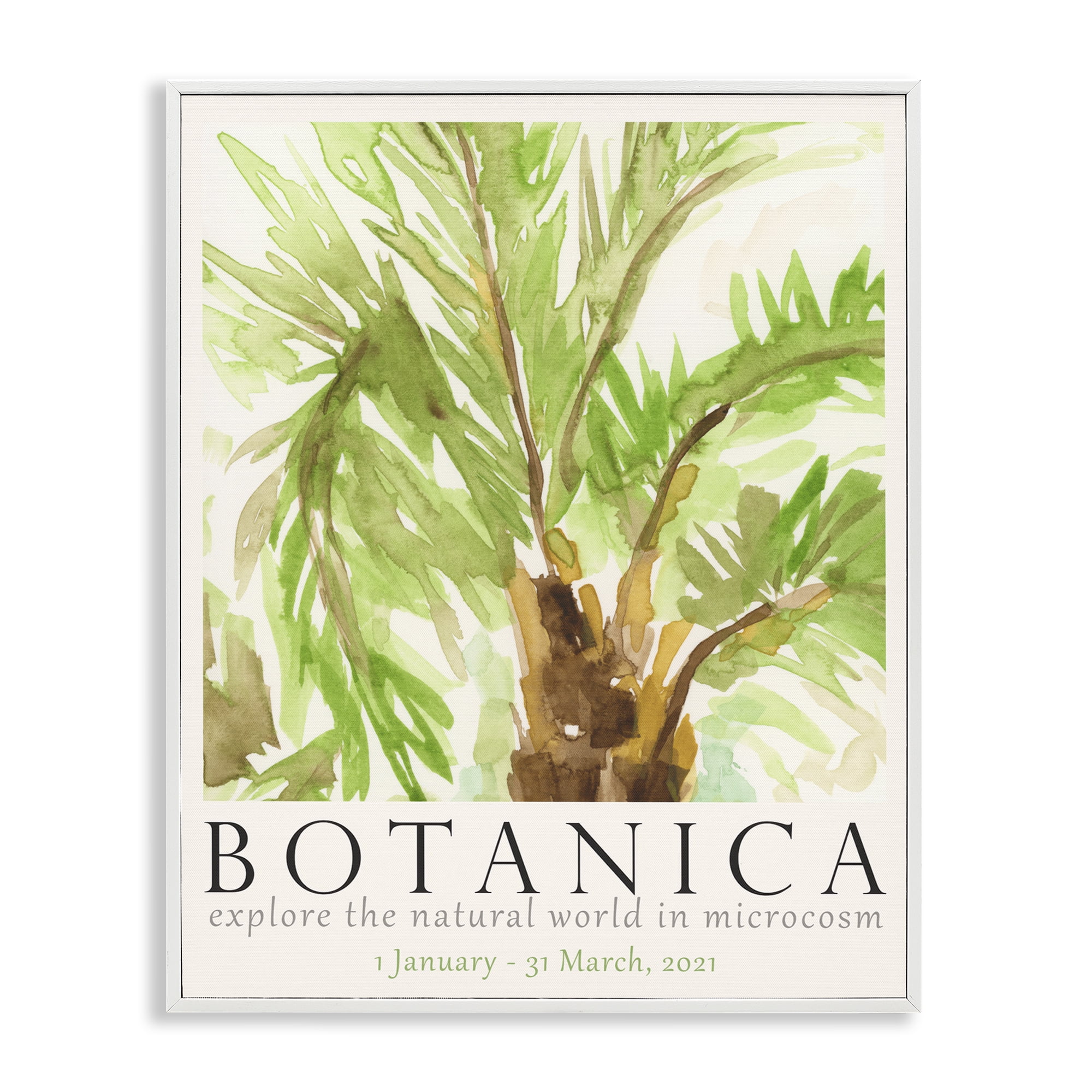 Stupell Industries Botanica Poster Palm Tree Plants & Flowers Painting White Framed Art Print Wall Art, 16 x 20