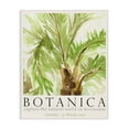 thumbnail image 1 of Stupell Industries Botanica Poster Palm Tree Plants & Flowers Painting Wrapped Canvas Art Print Wall Art, 16 x 20, 1 of 8
