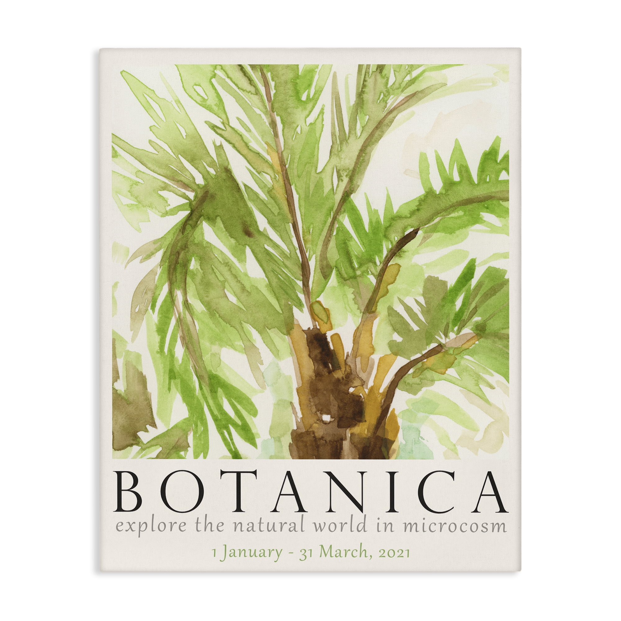 Stupell Industries Botanica Poster Palm Tree Plants & Flowers Painting Wrapped Canvas Art Print Wall Art, 24 x 30