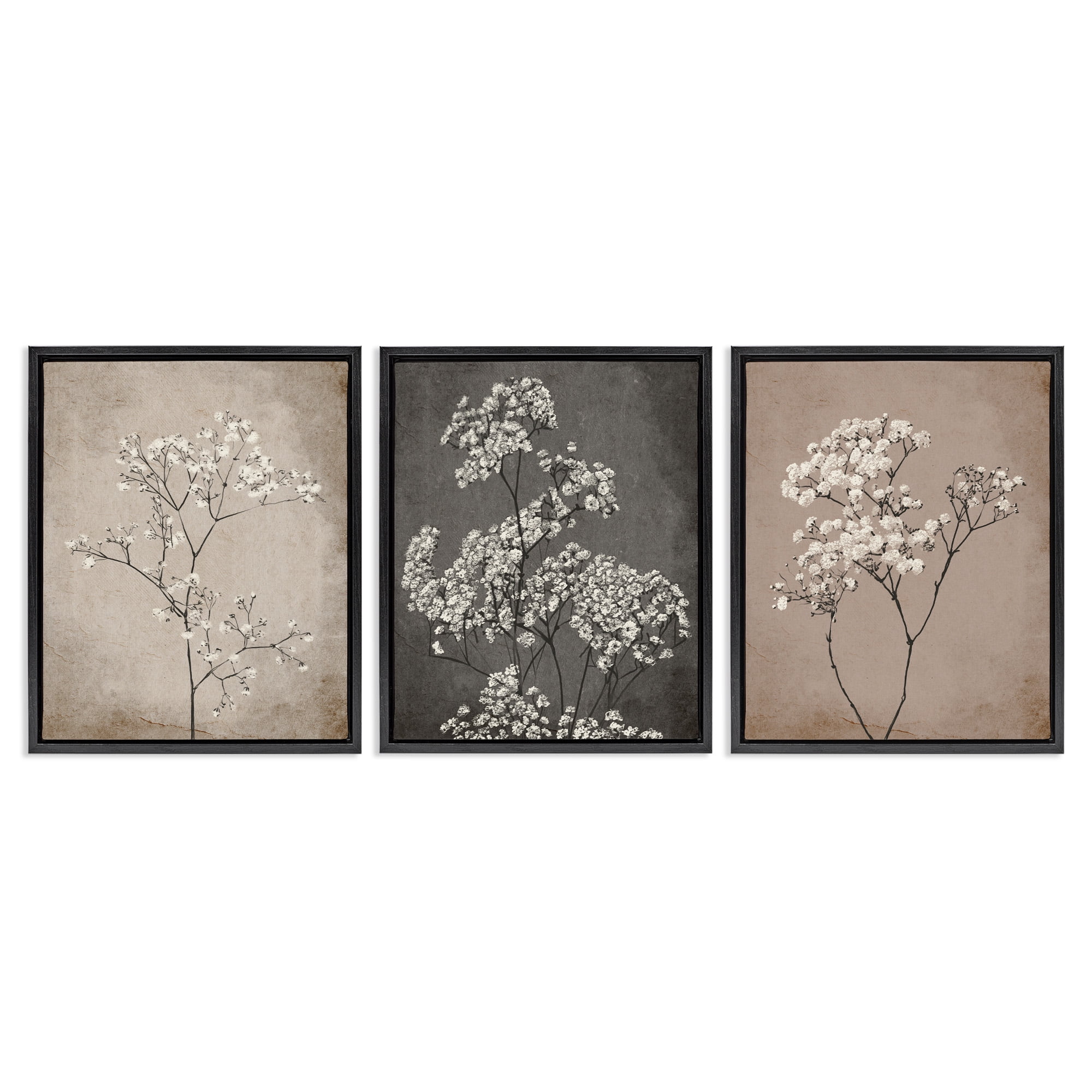 Stupell Industries Botanical Baby's Breath Herbs Botanical & Floral Painting Black Floater Framed Canvas Art Print Wall Art, 17 x 21, Set of 3