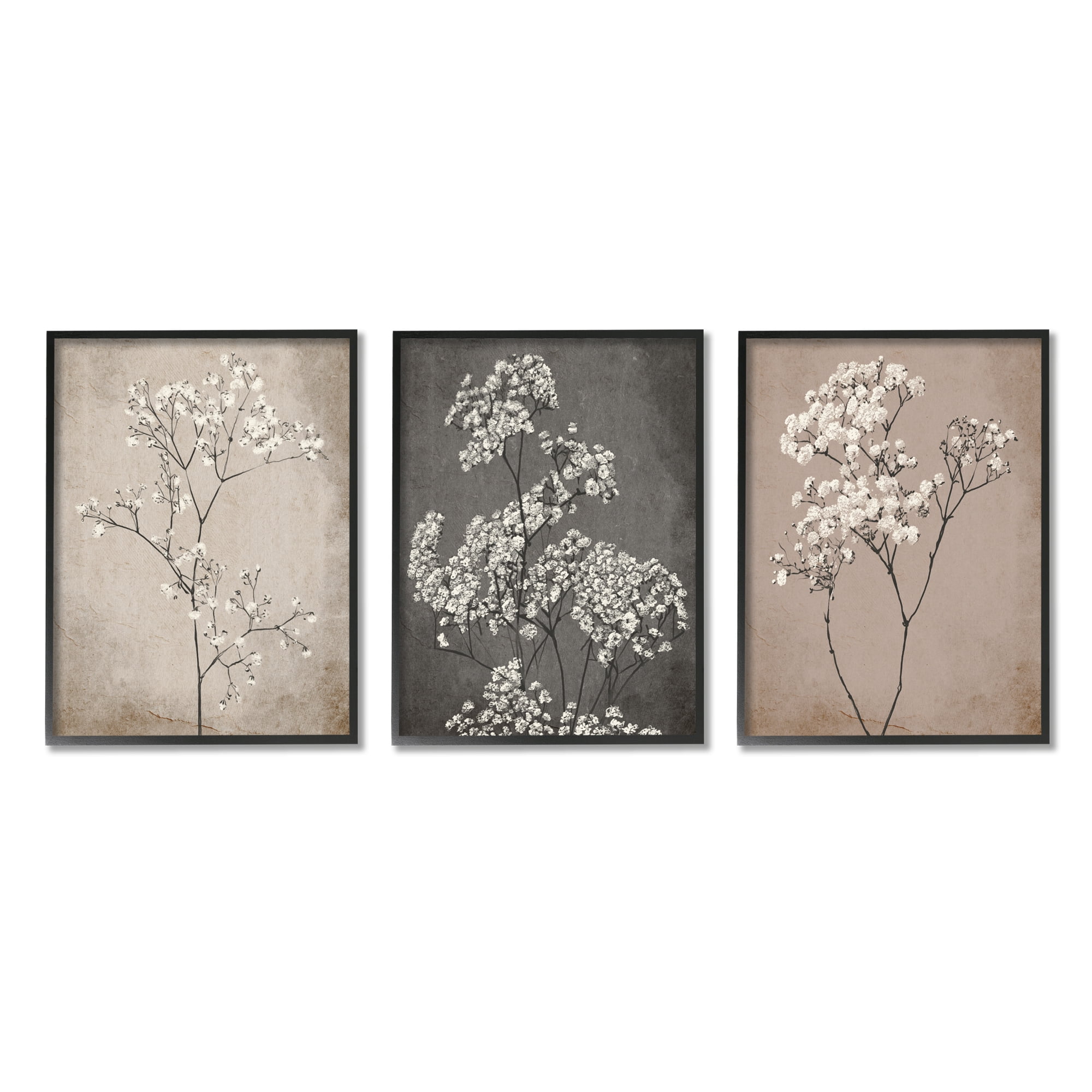 Stupell Industries Botanical Baby's Breath Herbs Botanical & Floral Painting Black Framed Art Print Wall Art, 24 x 30, Set of 3