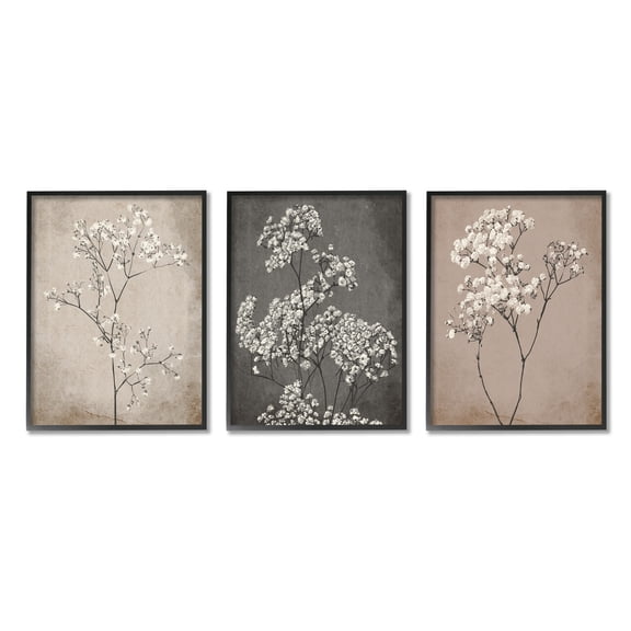 Stupell Industries Botanical Baby's Breath Herbs Botanical & Floral Painting Black Framed Art Print Wall Art, 24 x 30, Set of 3