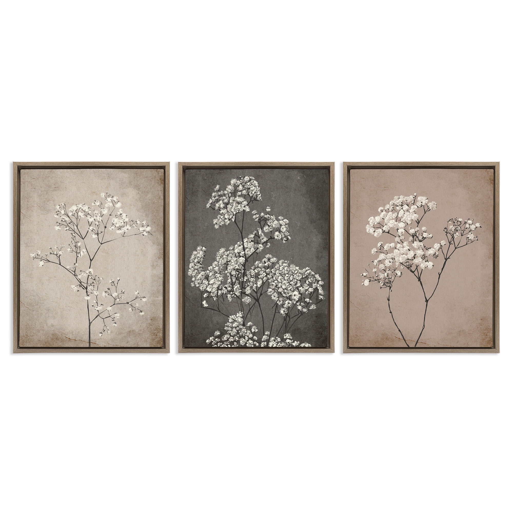 Stupell Industries Botanical Baby's Breath Herbs Botanical & Floral Painting Brown Floater Framed Canvas Art Print Wall Art, 25 x 31, Set of 3