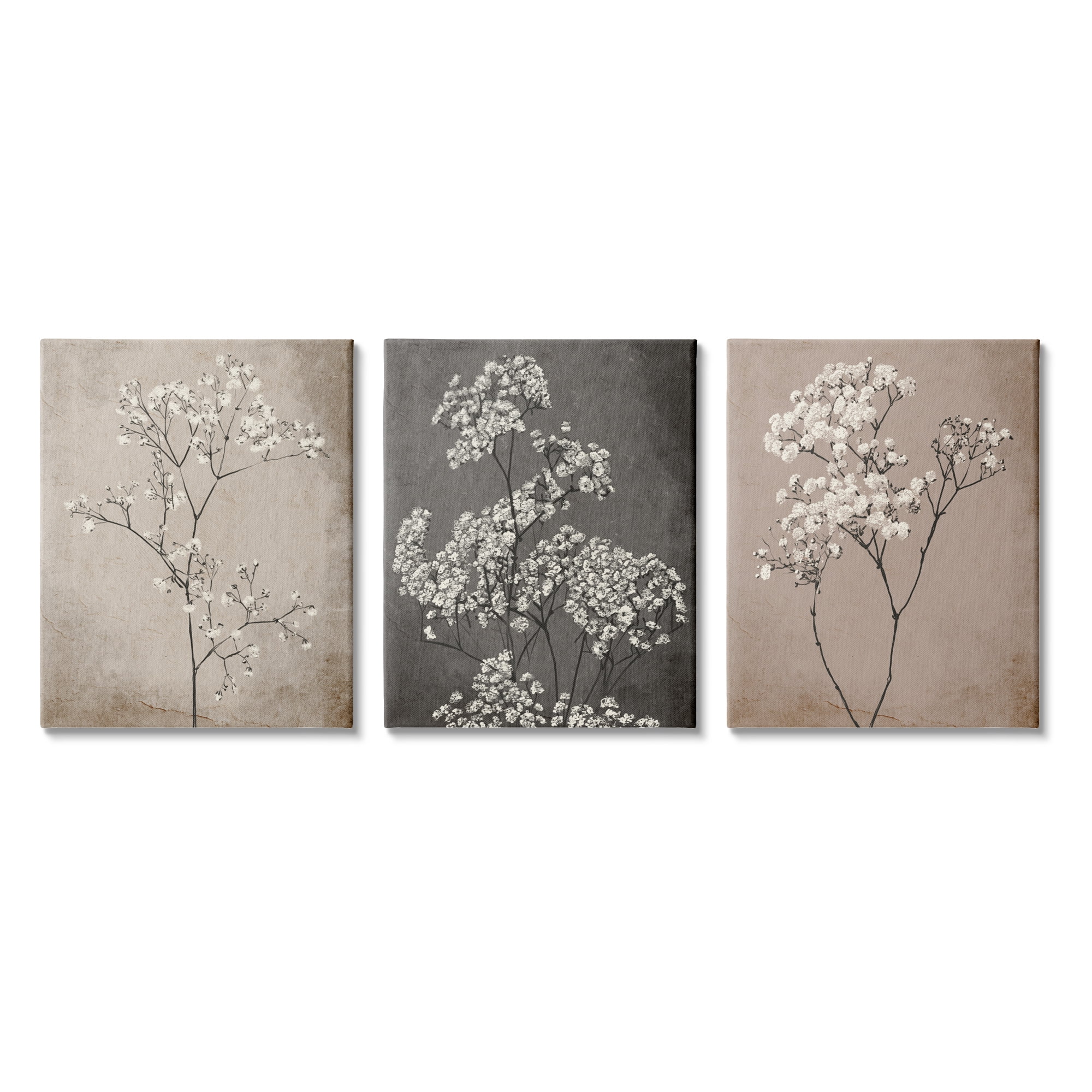 Botanical Baby's Breath Herb Canvas Wall Art Set in Neutral Tones