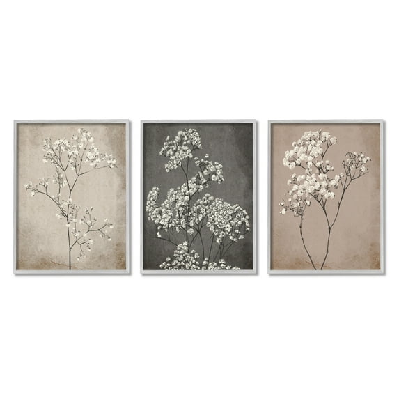 Stupell Industries Botanical Baby's Breath Herbs Botanical & Floral Painting Gray Framed Art Print Wall Art, 16 x 20, Set of 3