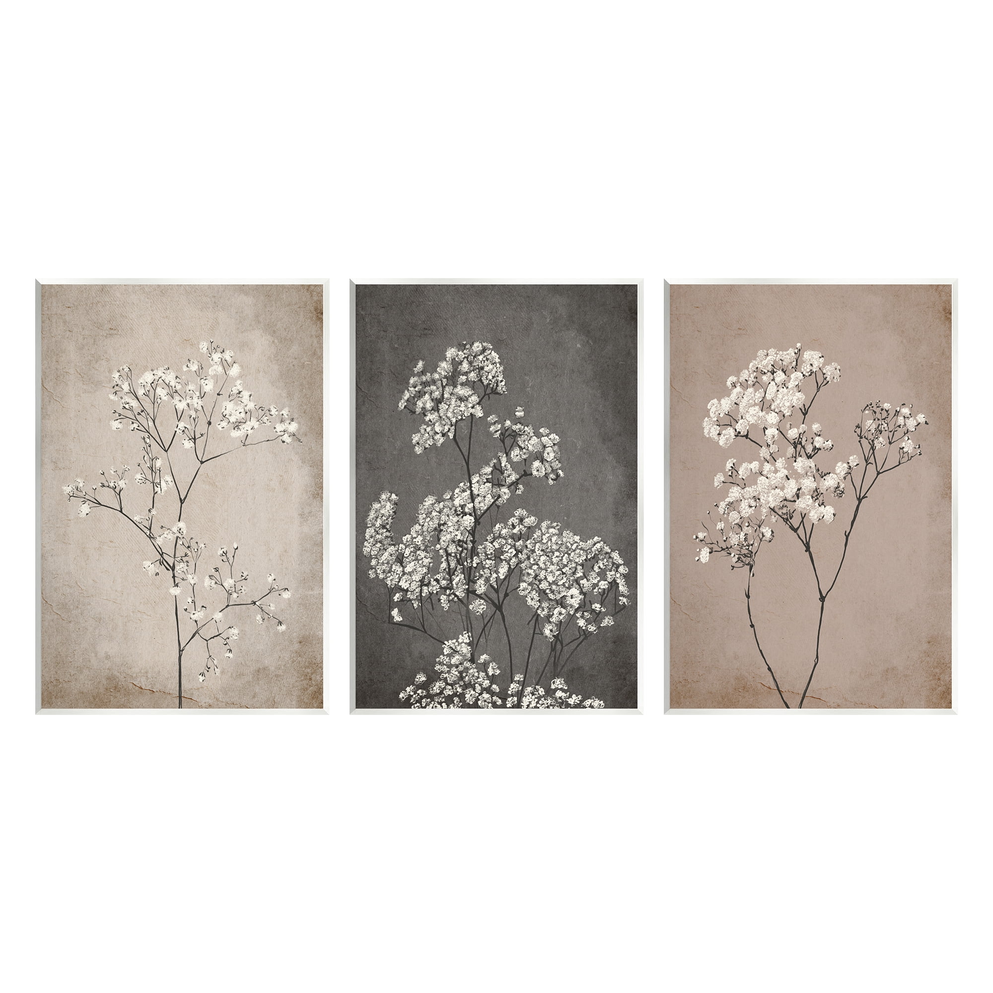 Stupell Industries Botanical Baby's Breath Herbs Botanical & Floral Painting Unframed Art Print Wall Art, 13 x 19, Set of 3