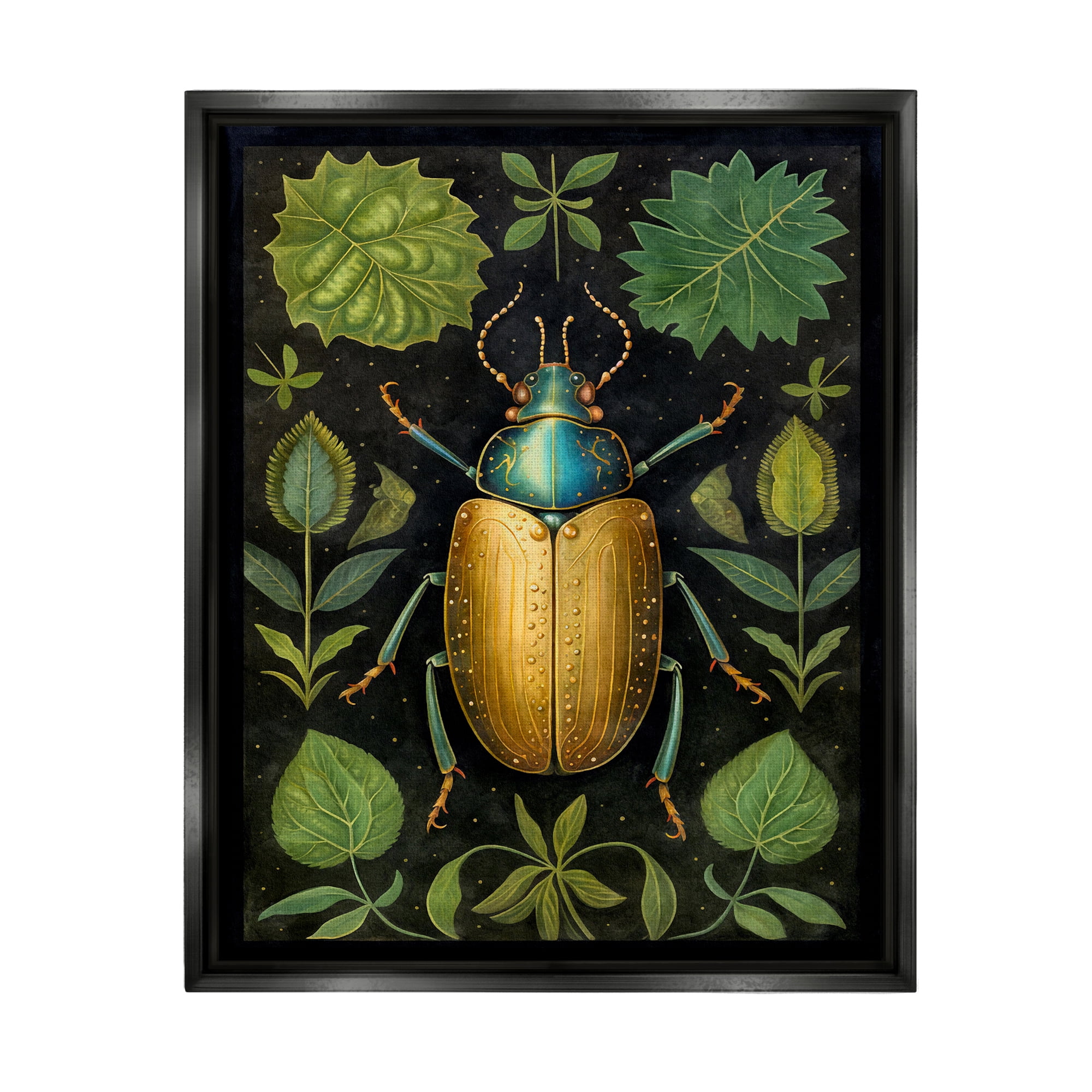 Stupell Industries Botanical Beetle Study Animals & Insects Painting Black Floater Framed Canvas Art Print Wall Art, 17 x 21